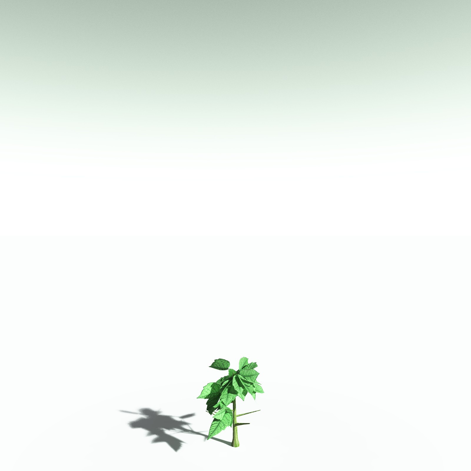 EVERYPlant Western Poison Oak for Poser by N/A