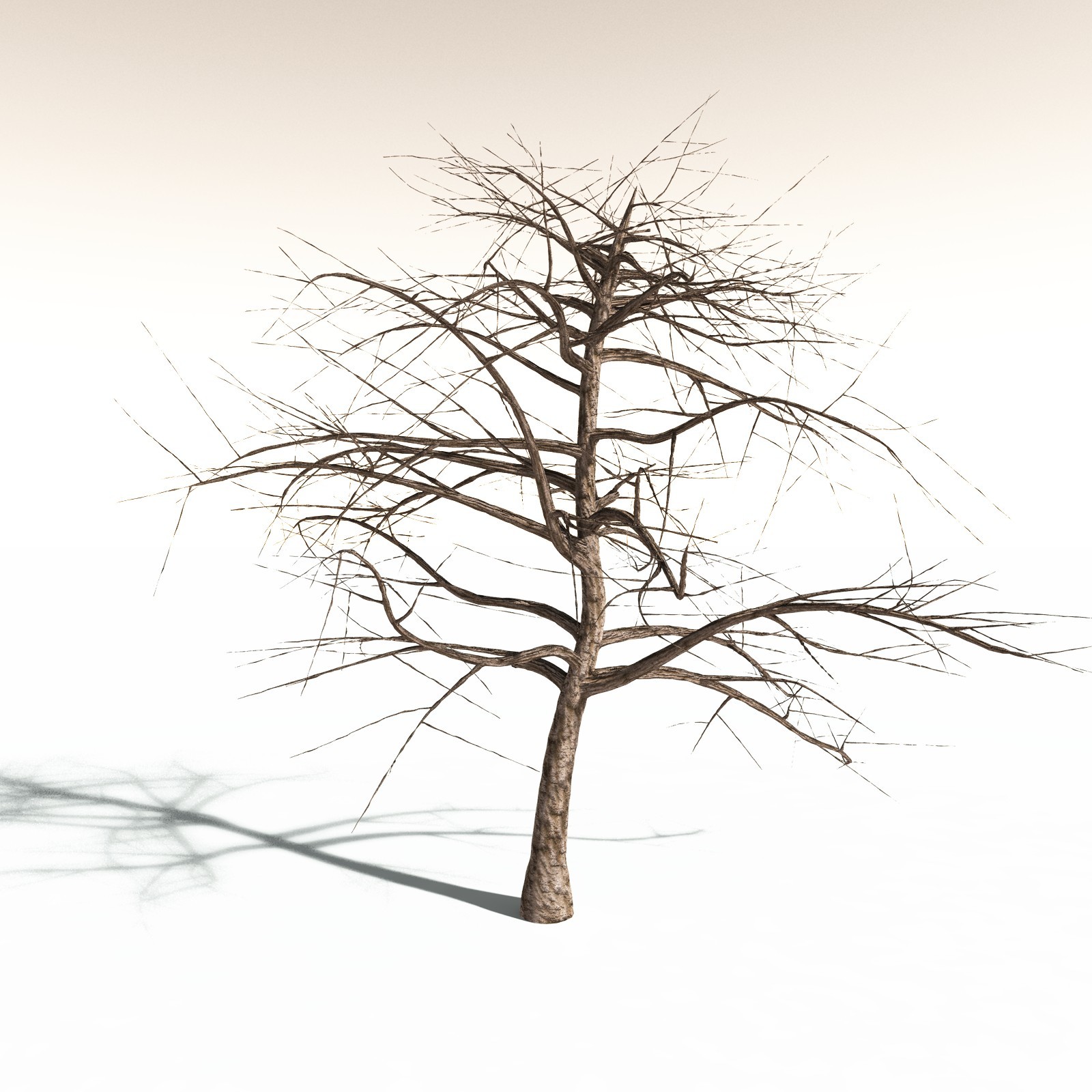 EVERYPlant Western Poison Oak for Daz by N/A
