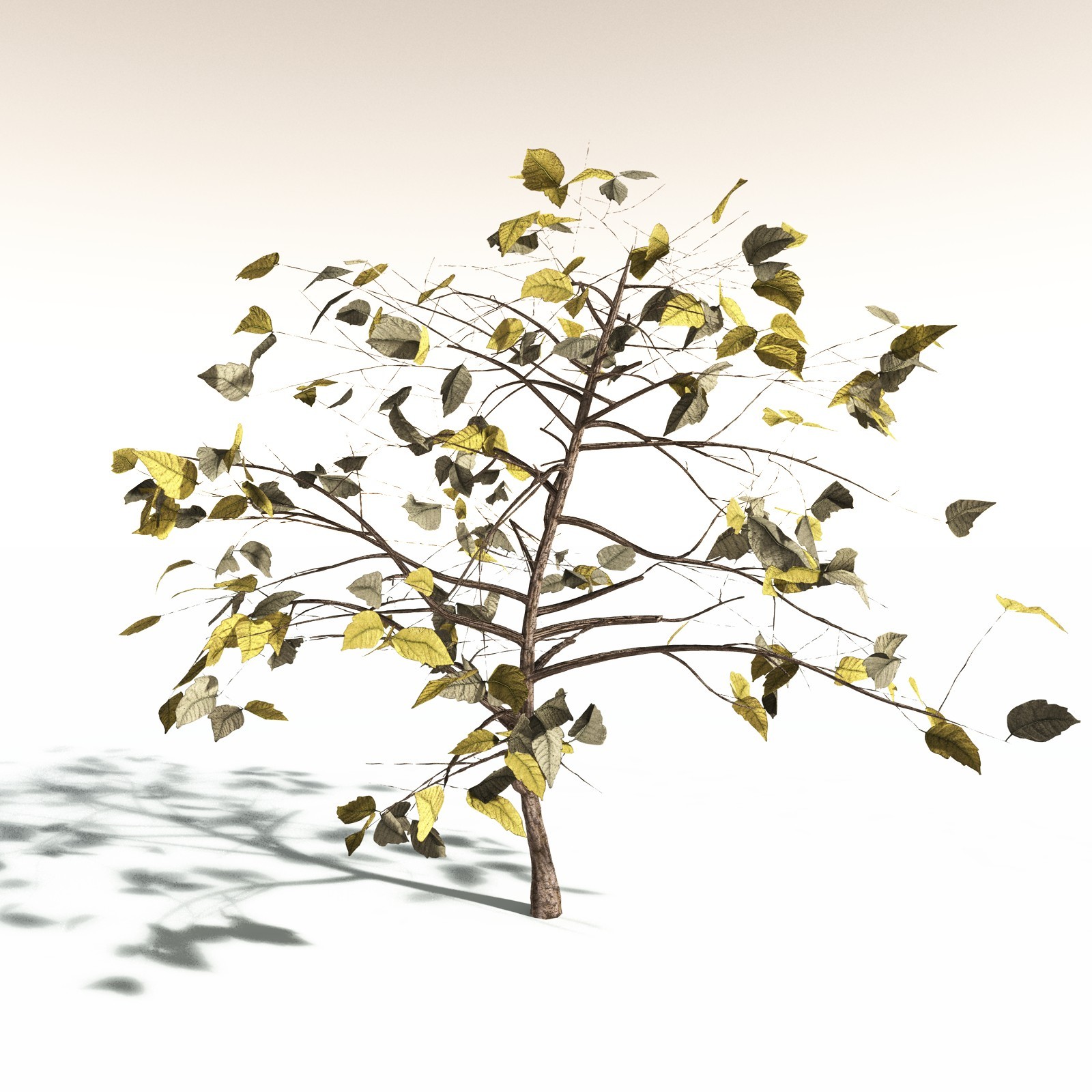 EVERYPlant Western Poison Oak for Daz by N/A