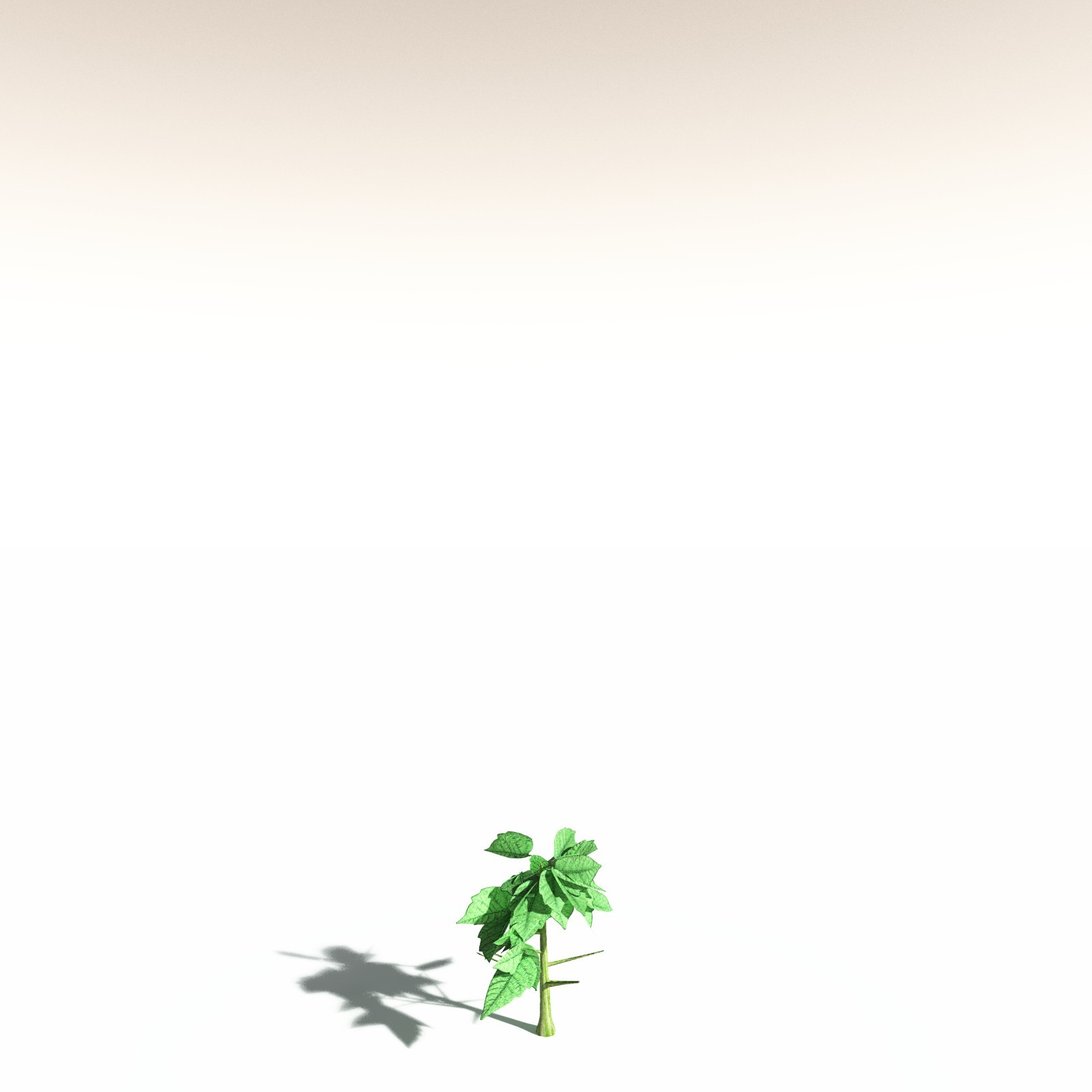 EVERYPlant Western Poison Oak for Daz by N/A