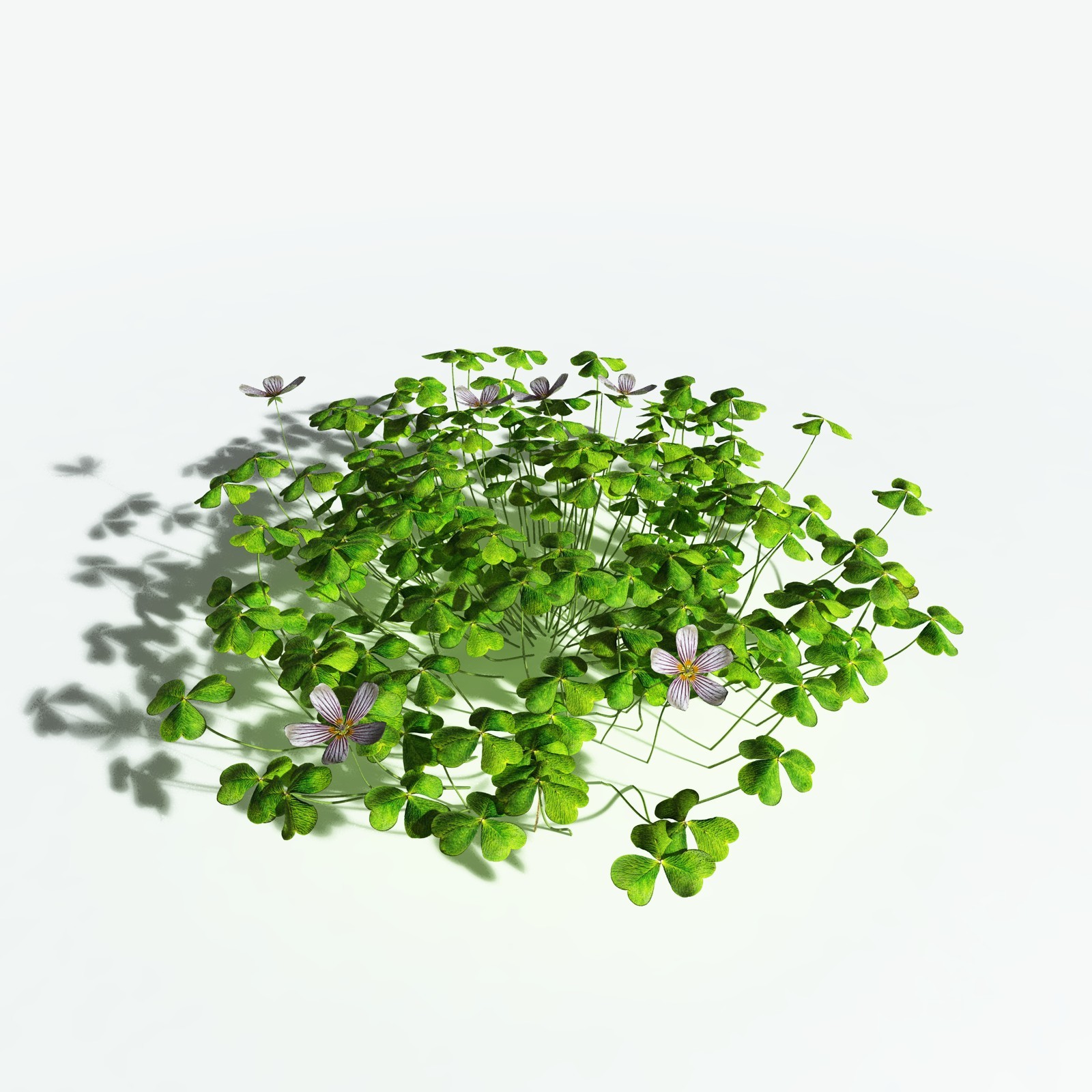 EVERYPlant Redwood Sorrel for Vue by N/A