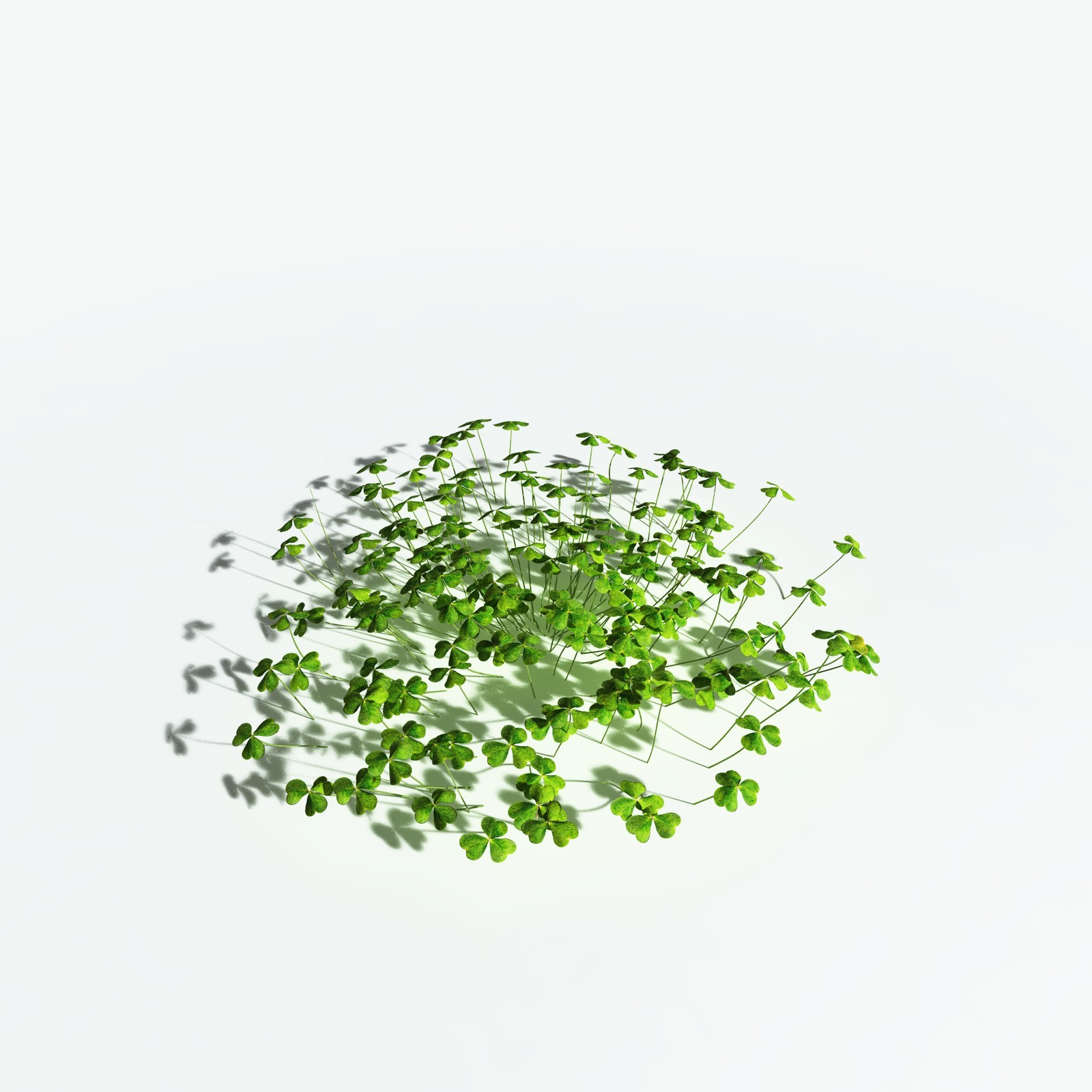 EVERYPlant Redwood Sorrel for Vue by N/A
