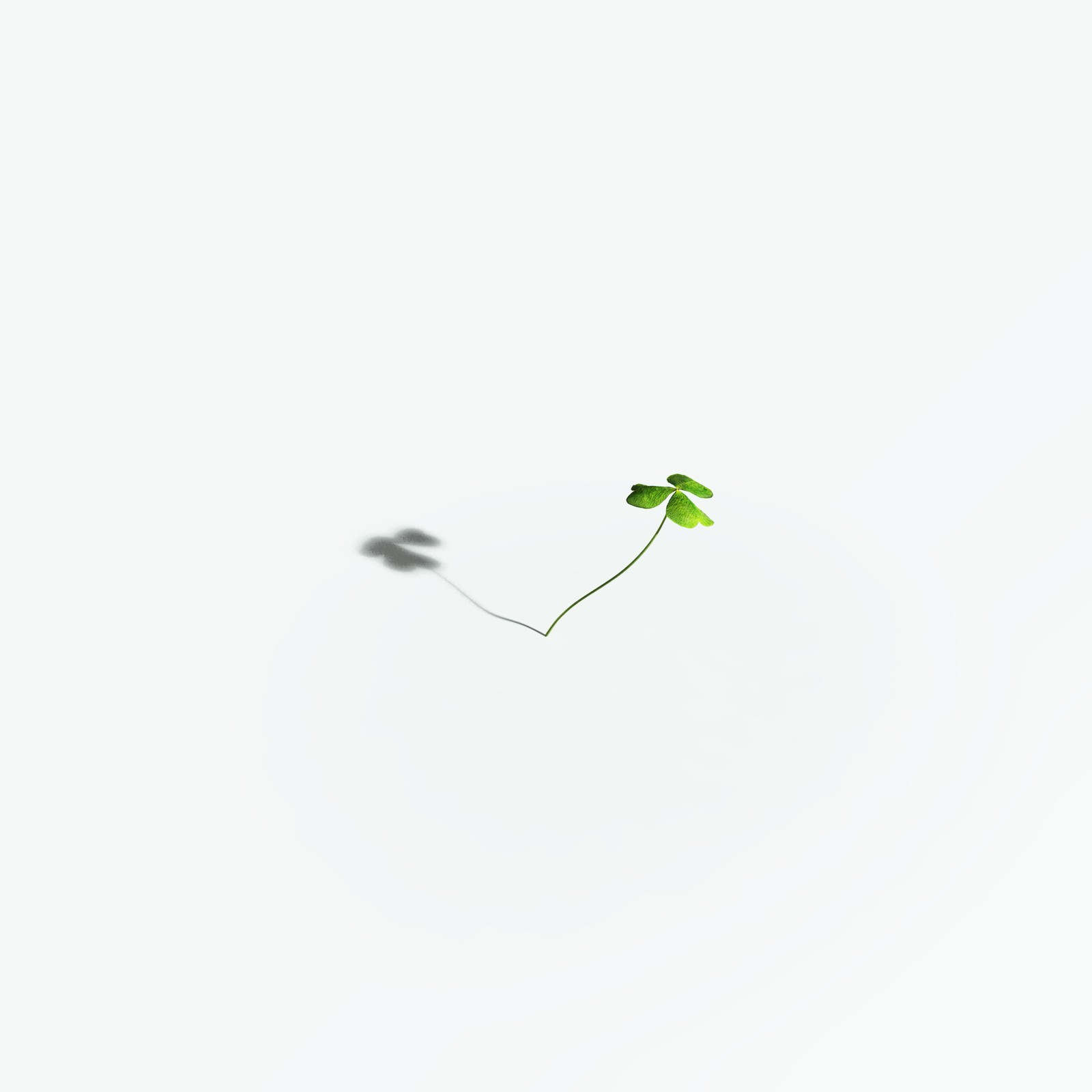 EVERYPlant Redwood Sorrel for Vue by N/A