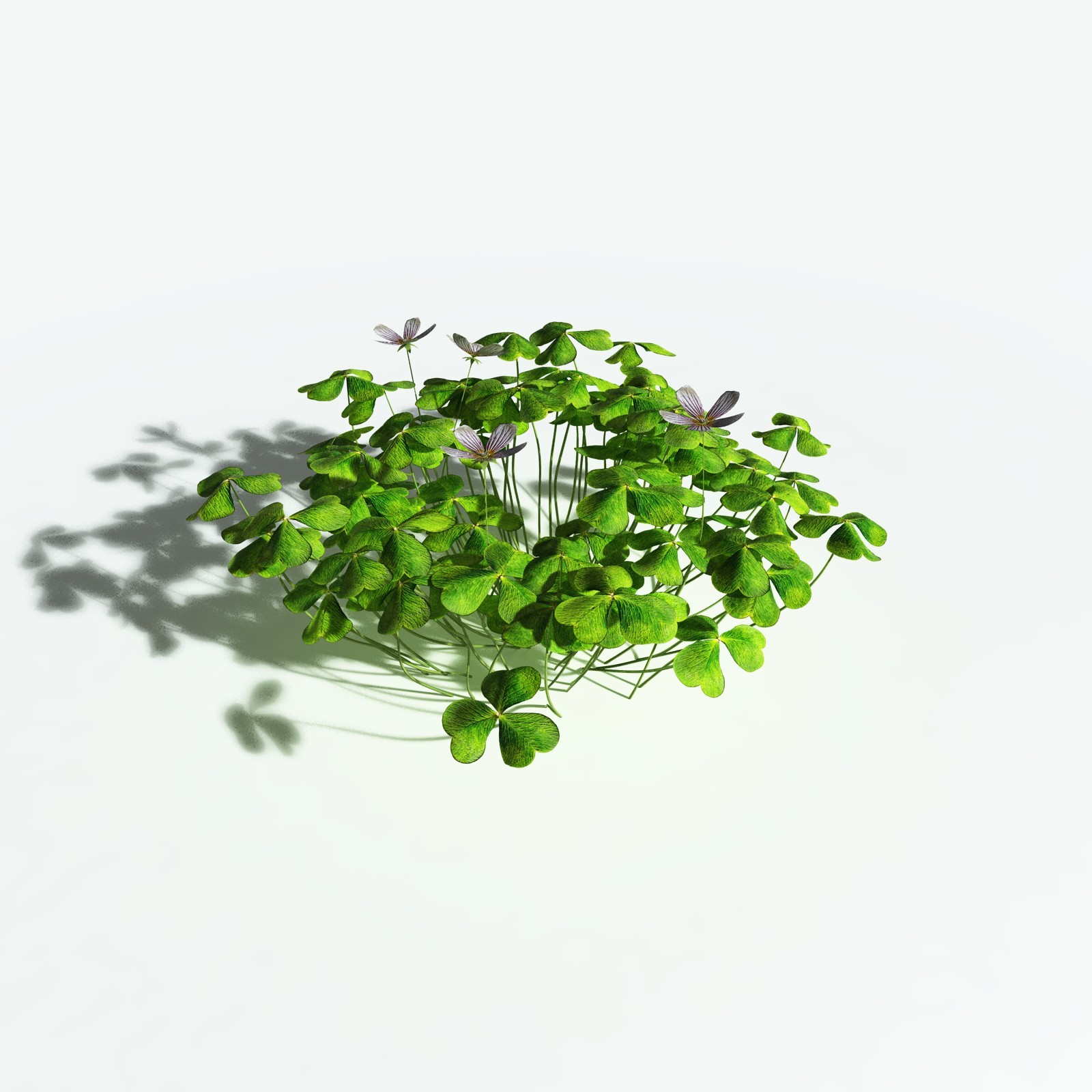 EVERYPlant Redwood Sorrel for Vue by N/A