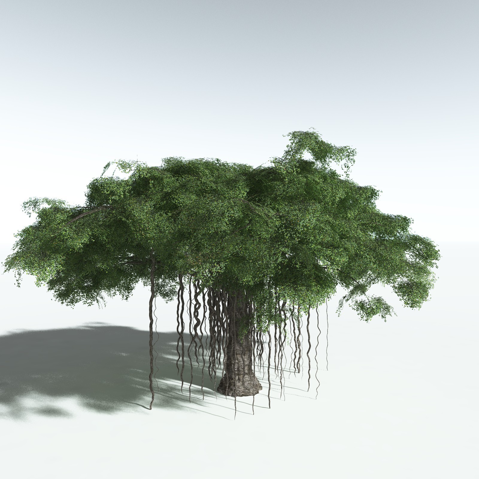EVERYPlant Banyan Tree for Vue by N/A