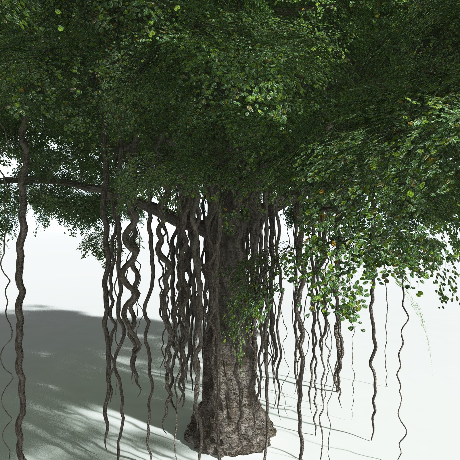 EVERYPlant Banyan Tree for Vue by N/A