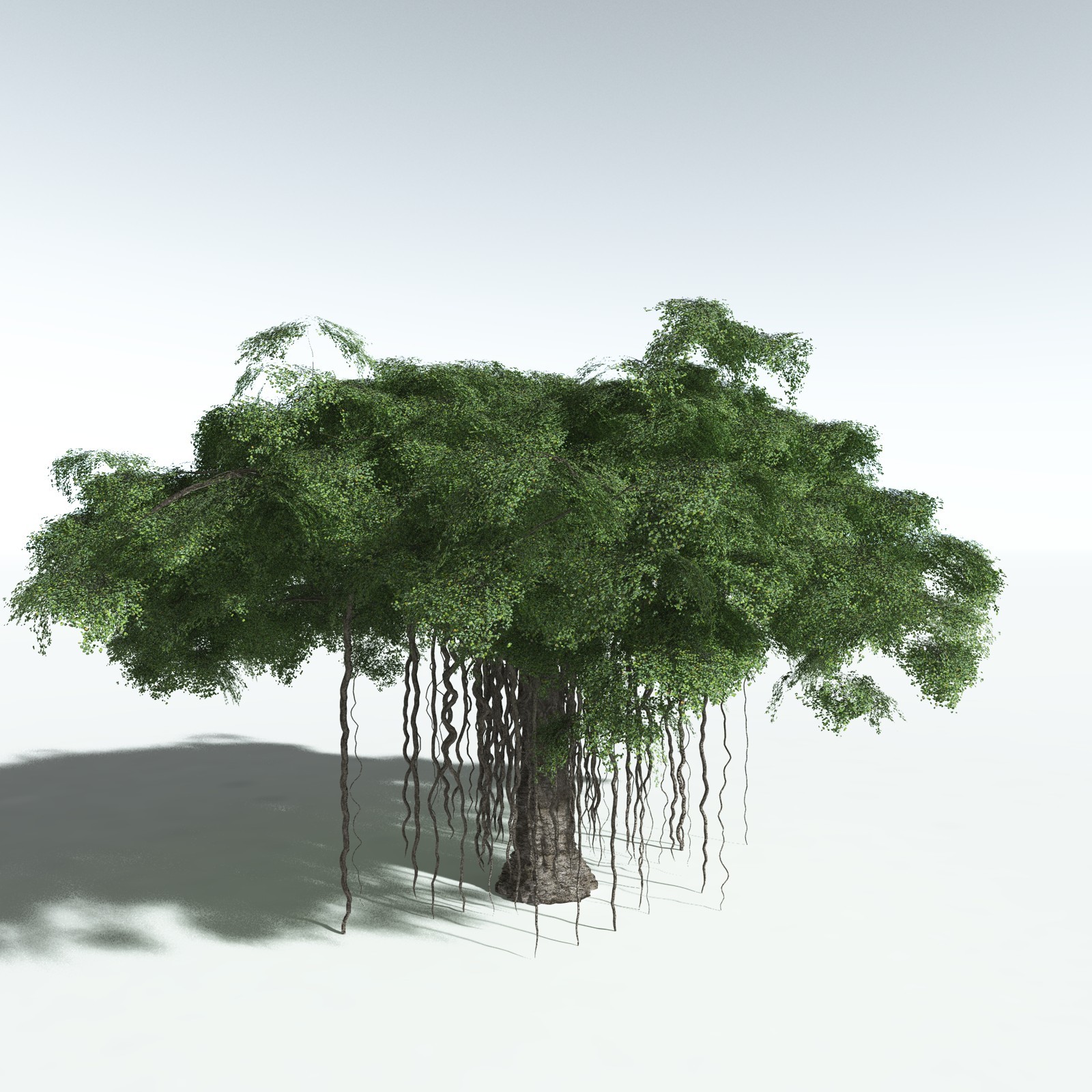 EVERYPlant Banyan Tree for Vue by N/A