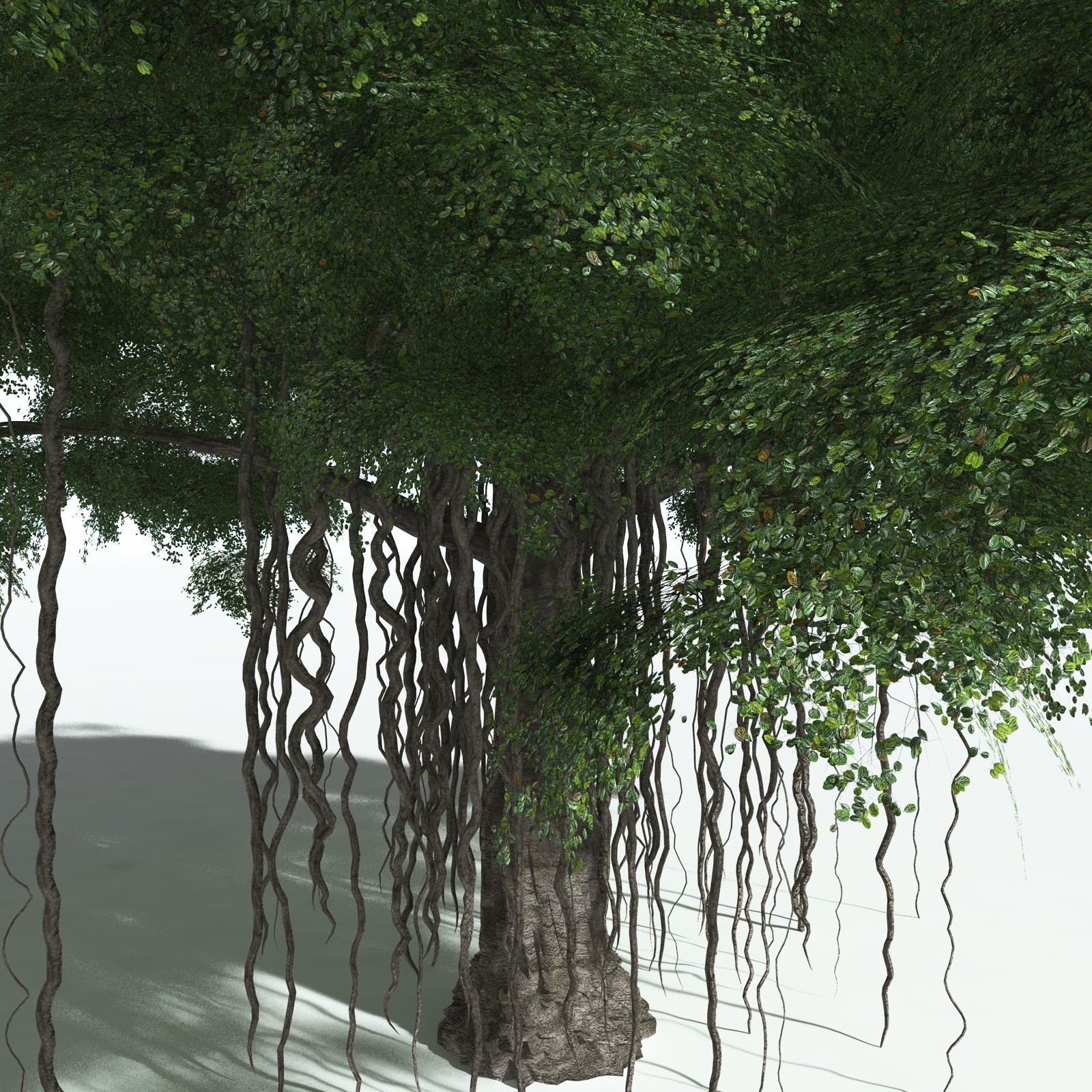 EVERYPlant Banyan Tree for Vue by N/A