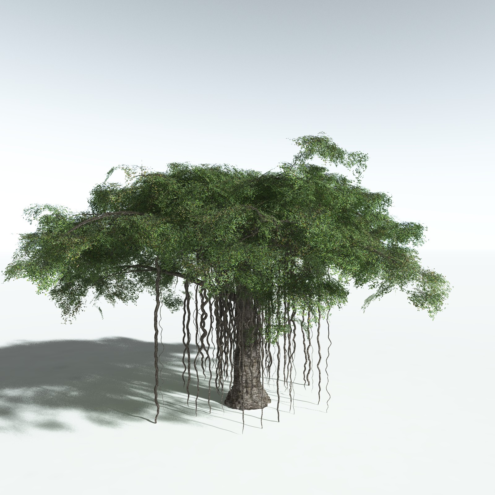 EVERYPlant Banyan Tree for Vue by N/A