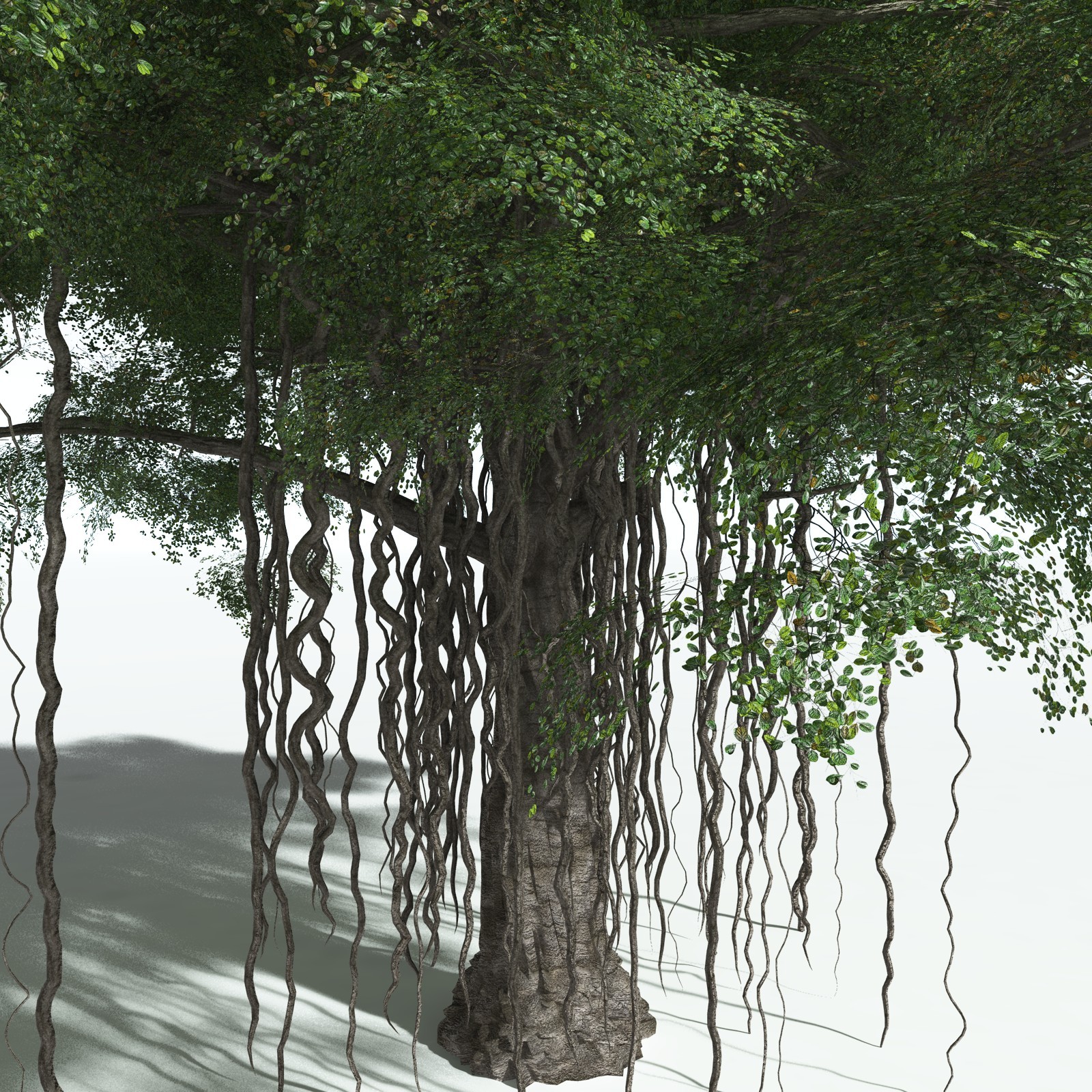 EVERYPlant Banyan Tree for Vue by N/A