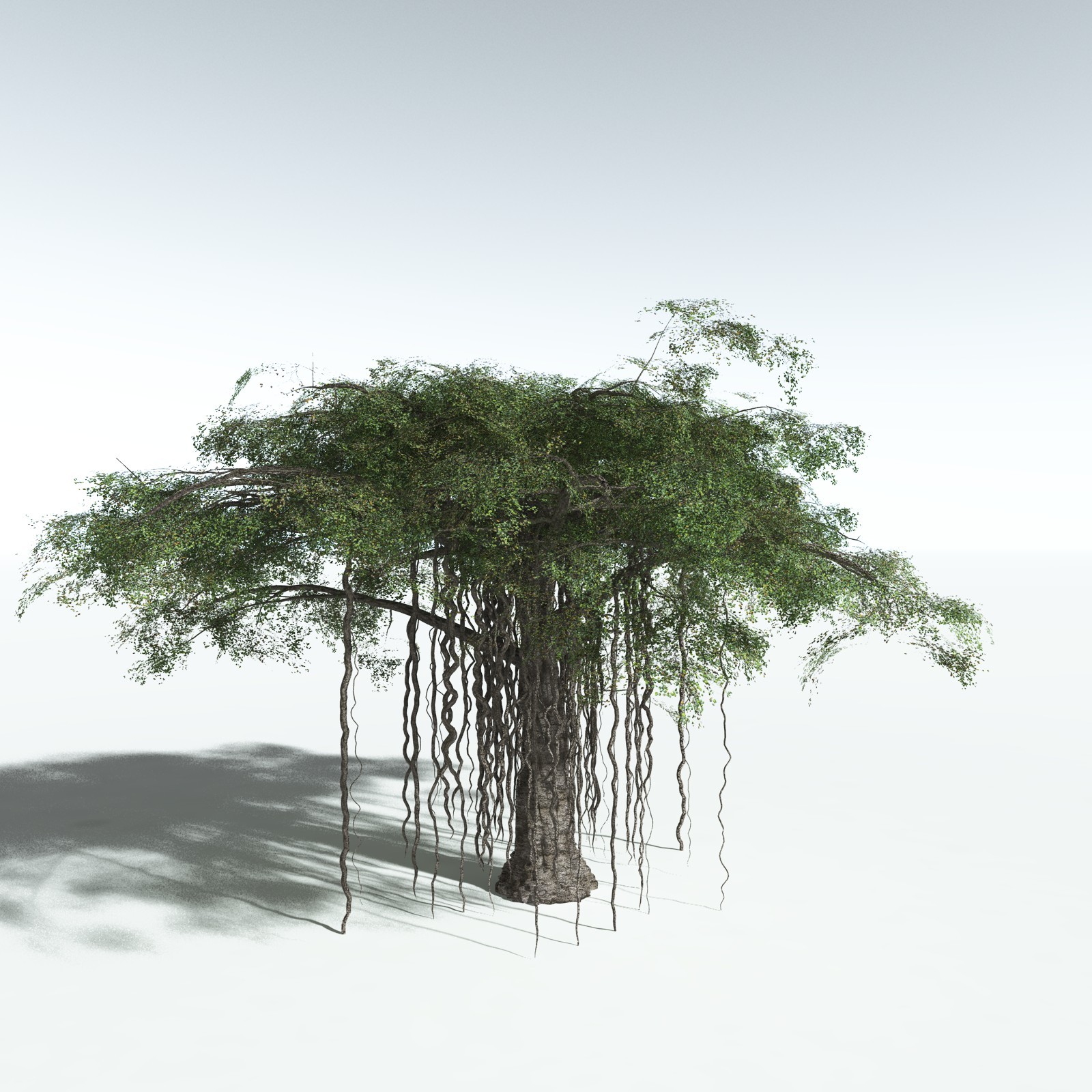 EVERYPlant Banyan Tree for Vue by N/A