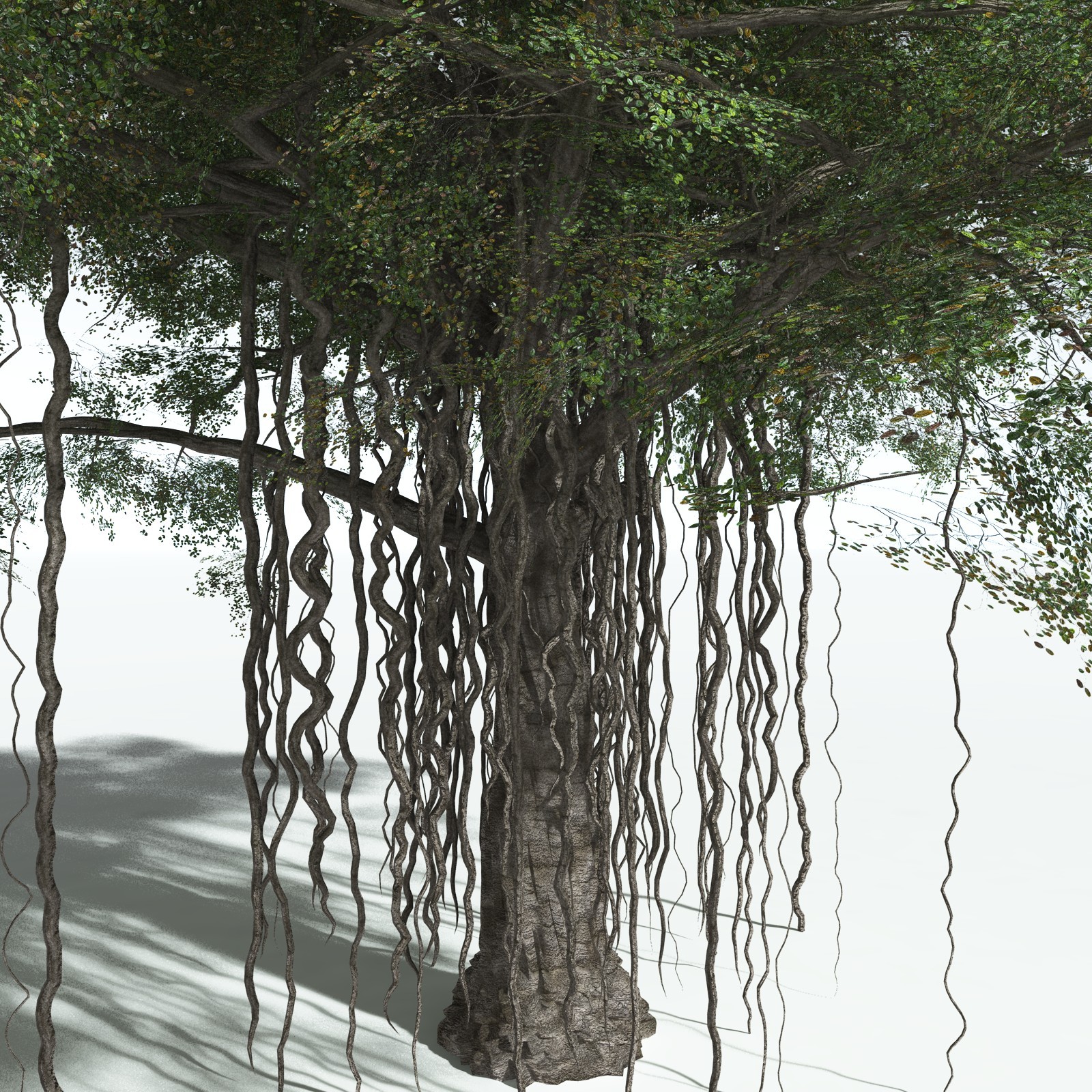 EVERYPlant Banyan Tree for Vue by N/A