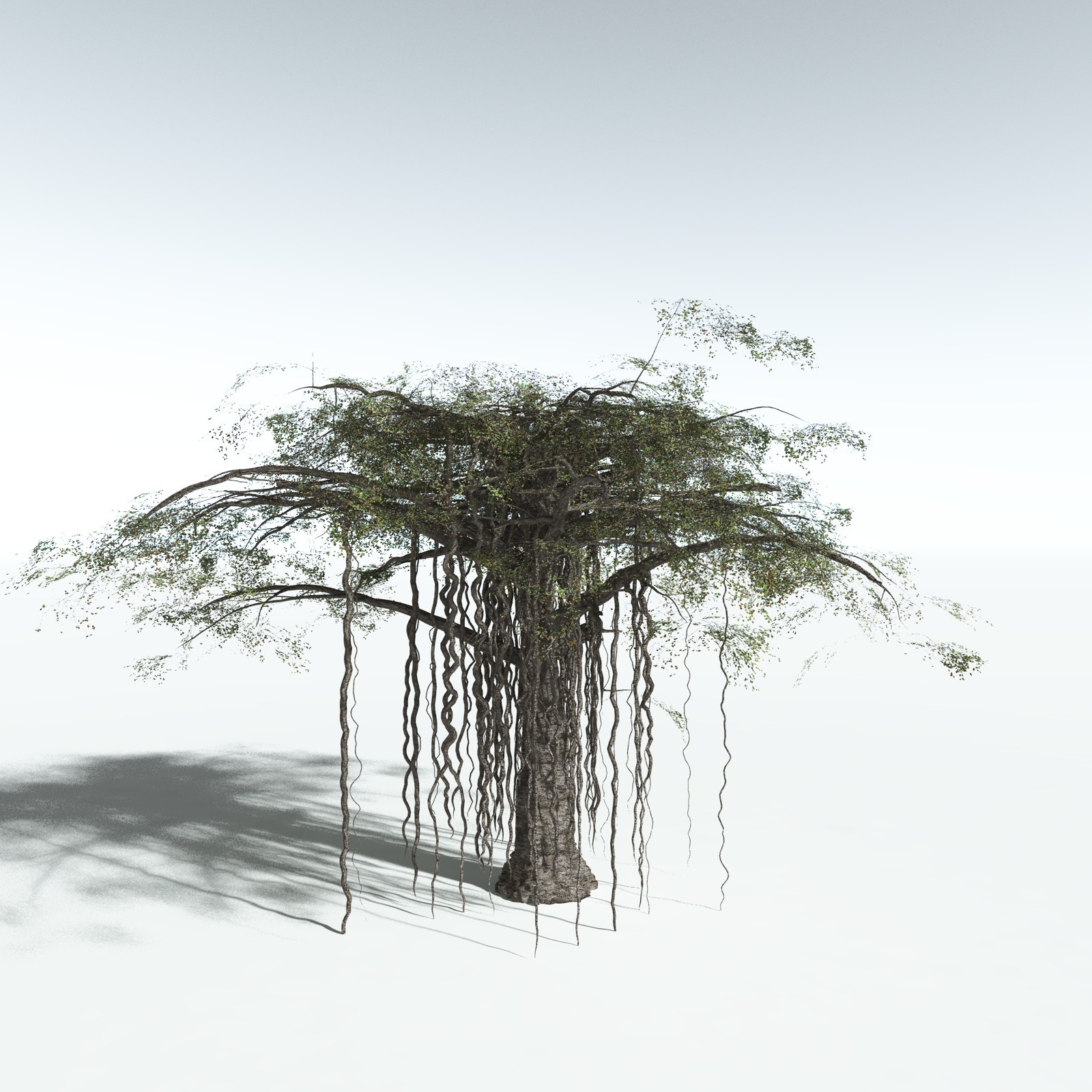 EVERYPlant Banyan Tree for Vue by N/A