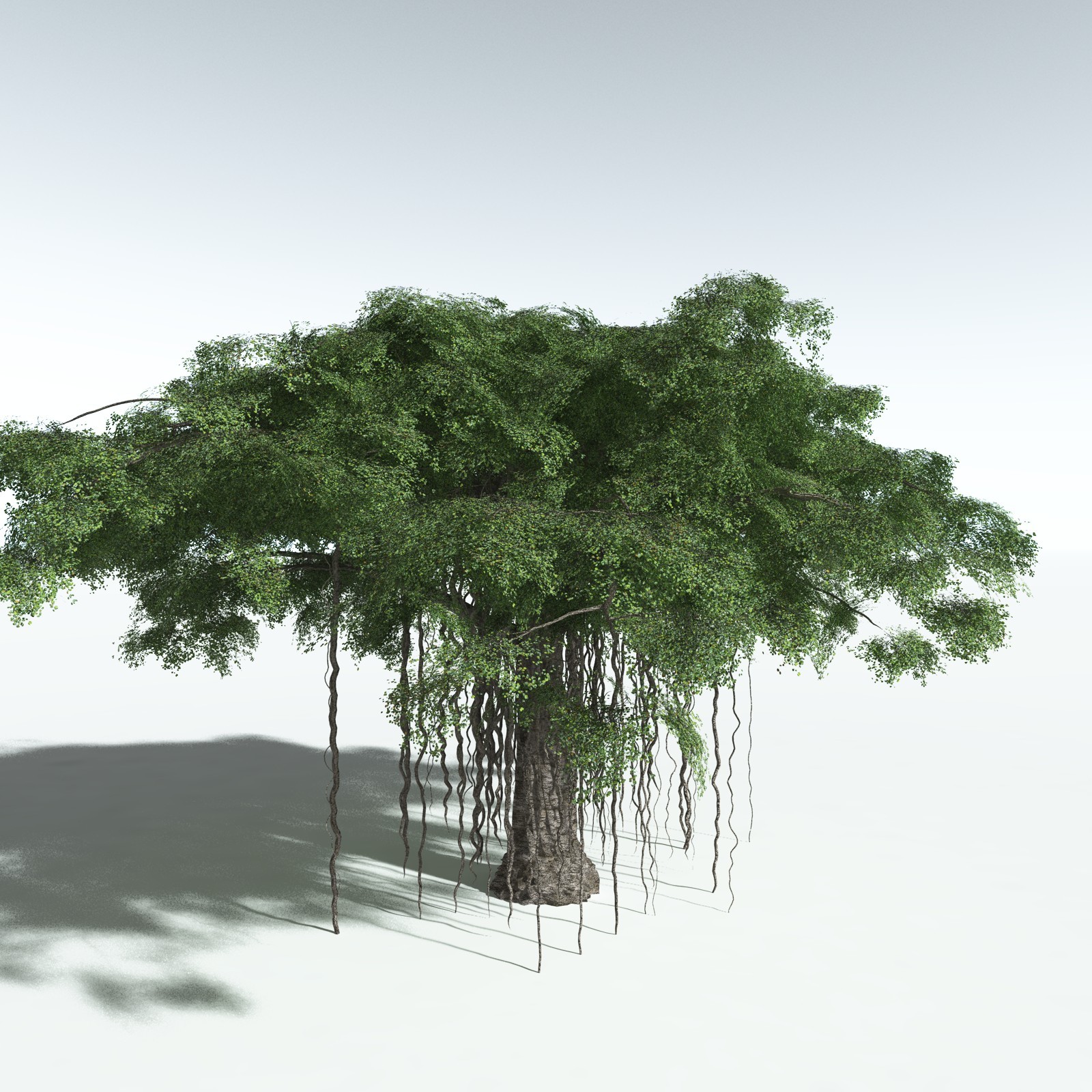 EVERYPlant Banyan Tree for Vue by N/A