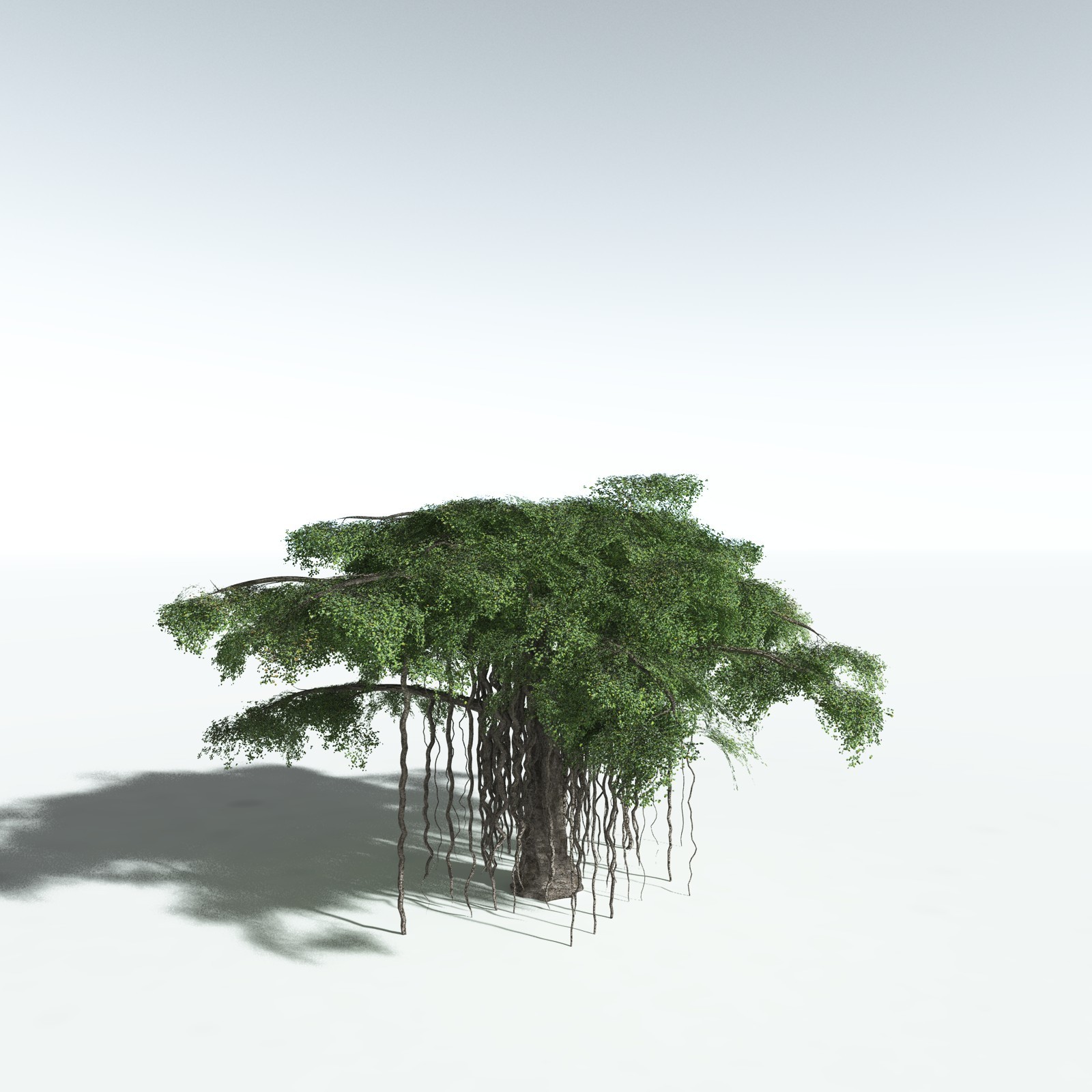 EVERYPlant Banyan Tree for Vue by N/A
