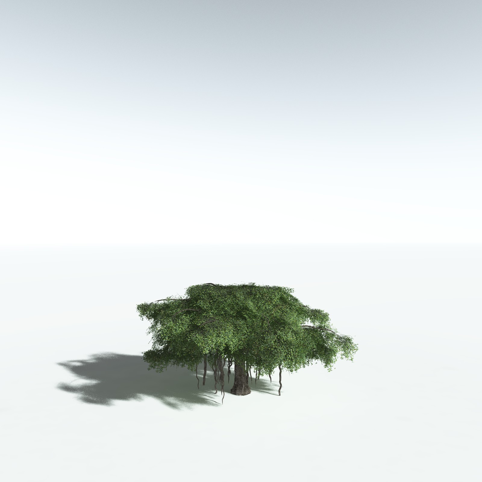EVERYPlant Banyan Tree for Vue by N/A