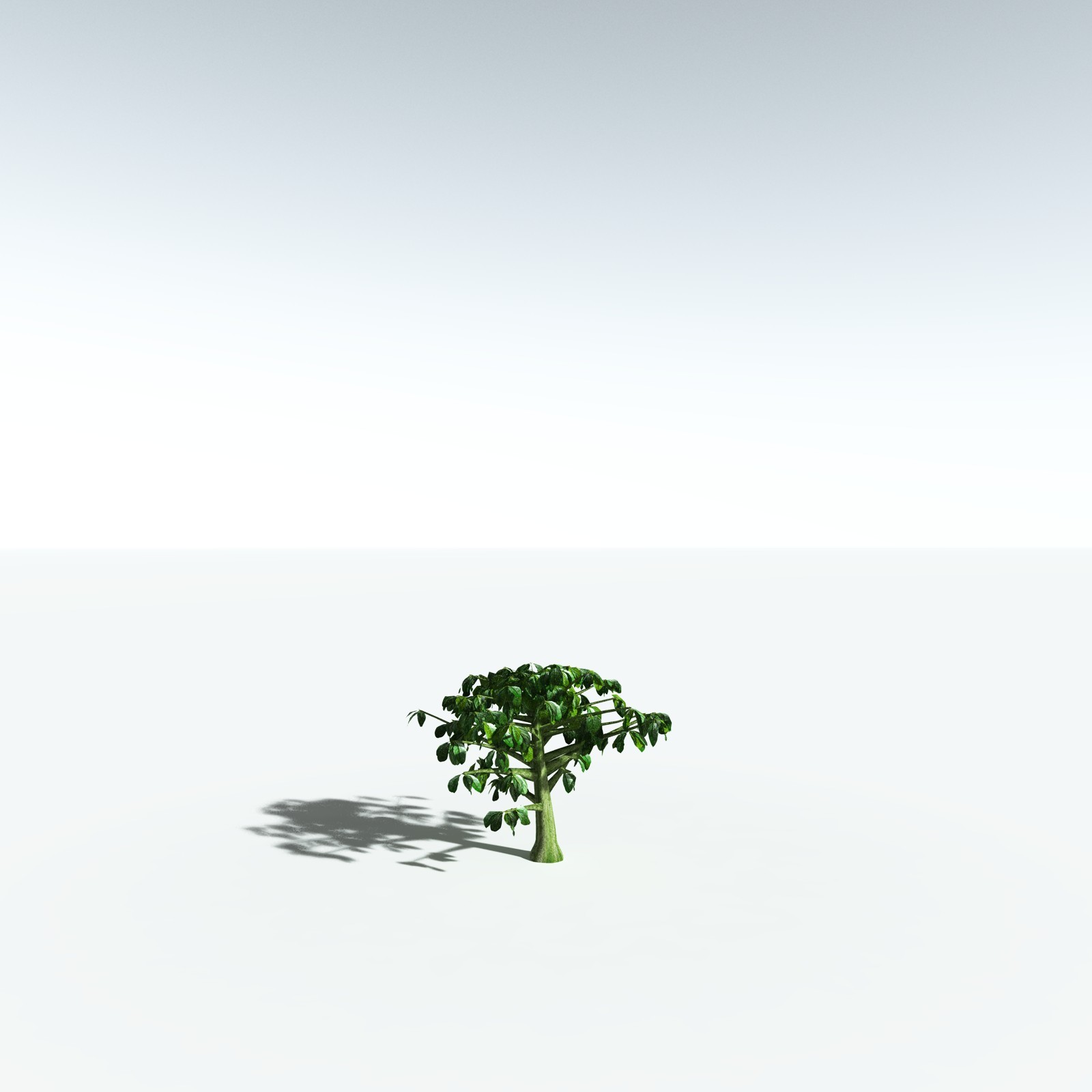 EVERYPlant Banyan Tree for Vue by N/A