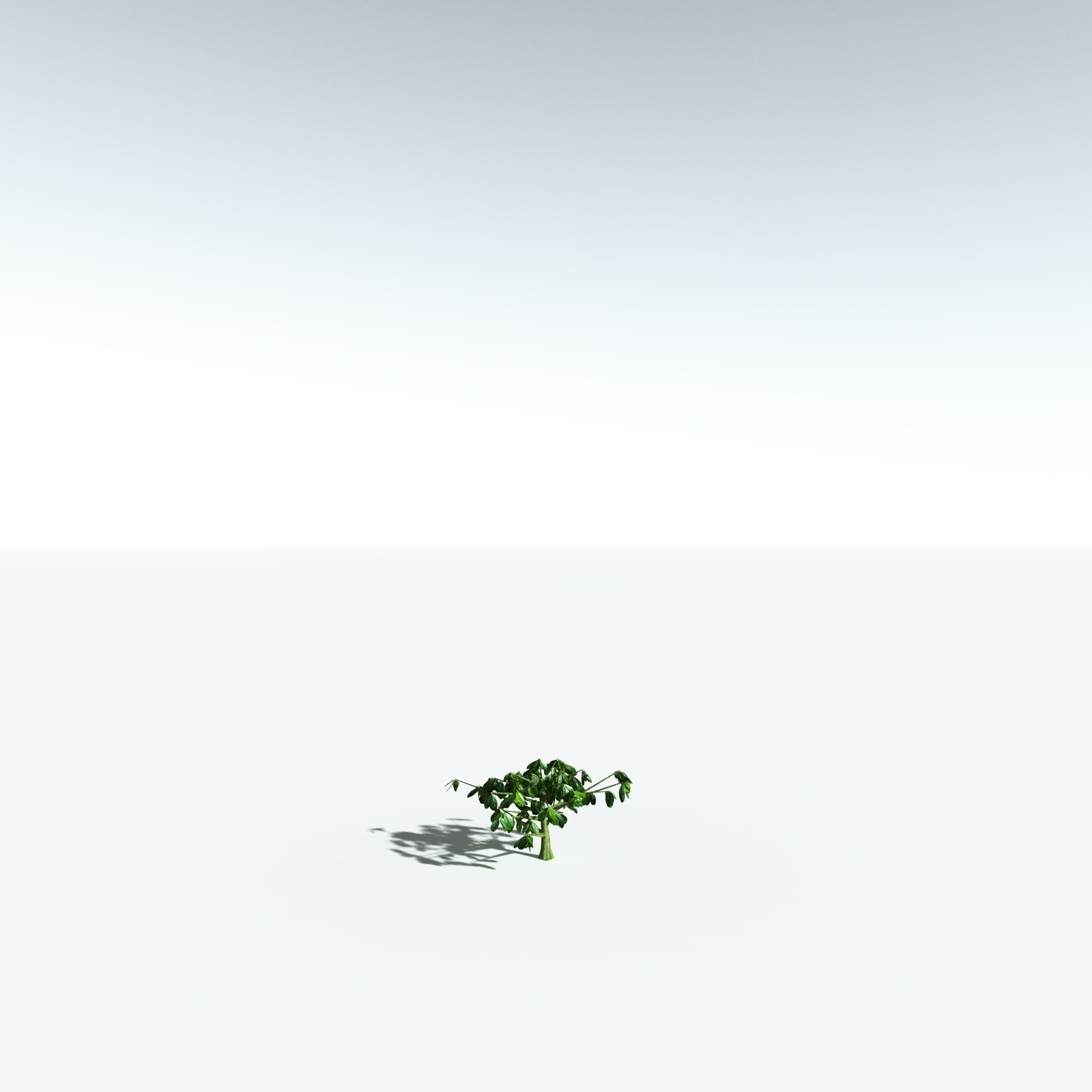 EVERYPlant Banyan Tree for Vue by N/A