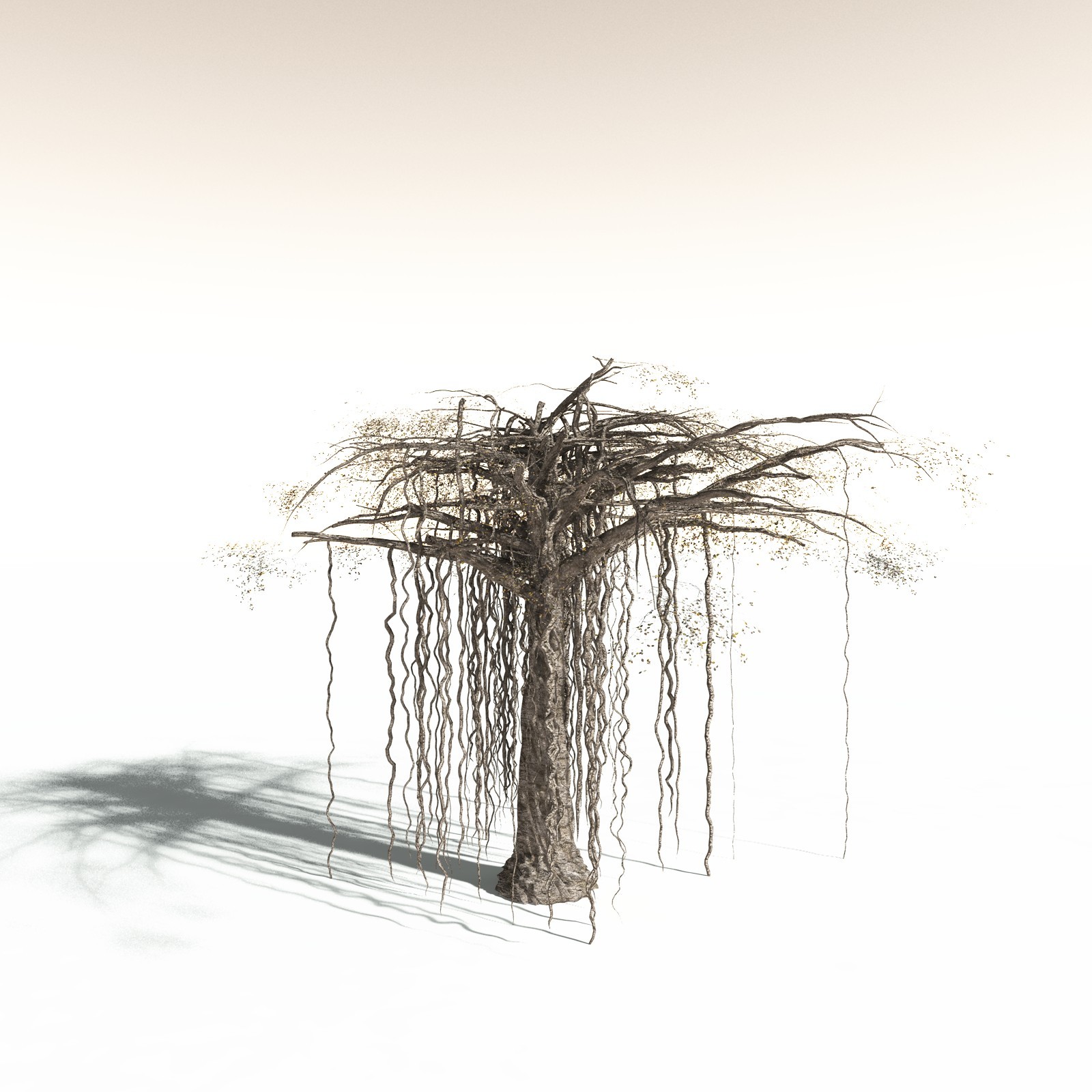 EVERYPlant Banyan Tree for Daz by N/A