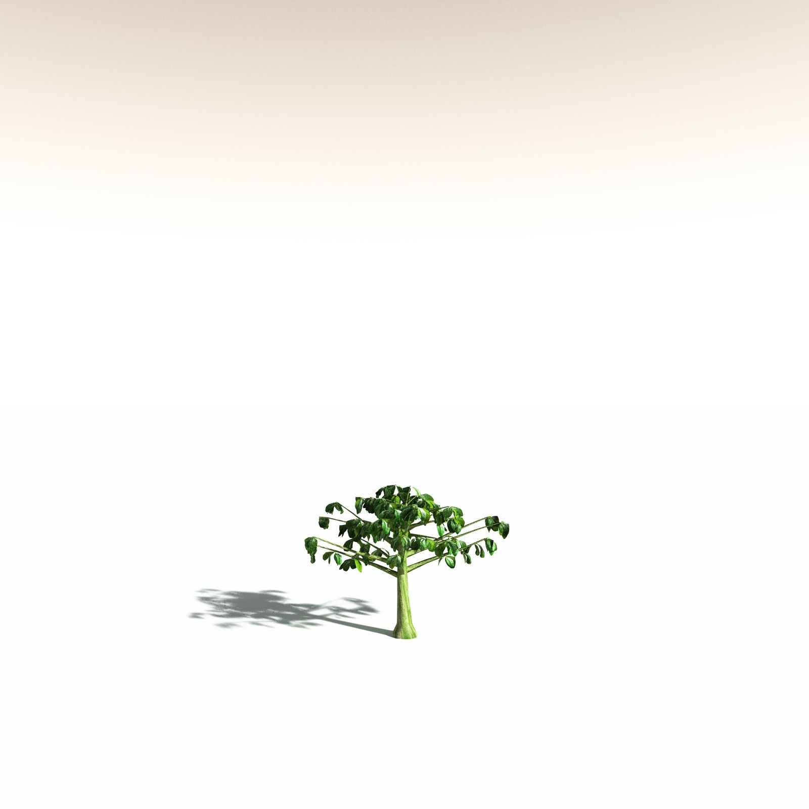 EVERYPlant Banyan Tree for Daz by N/A