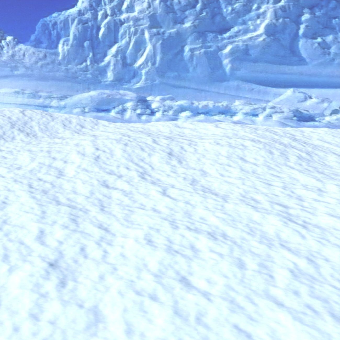 The Ice World by N/A