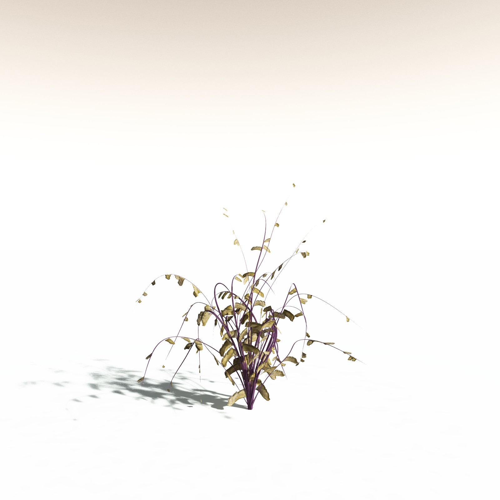EVERYPlant Western Maidenhair Fern for Daz by N/A