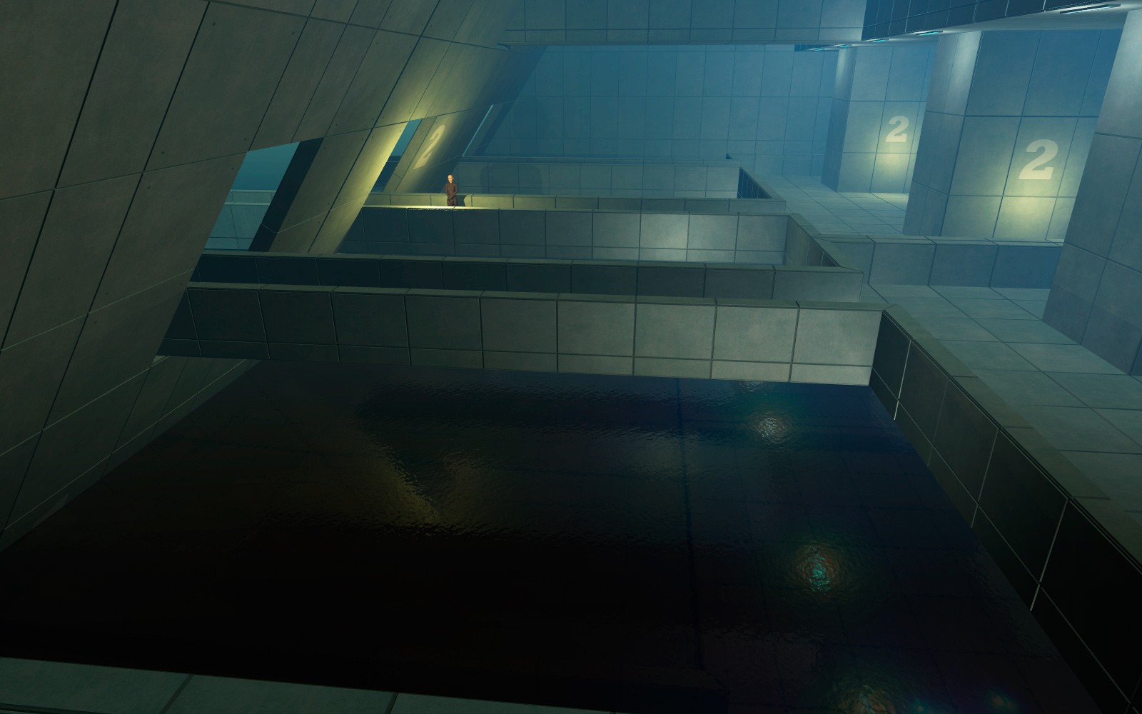 Internal Crossing for Poser by N/A