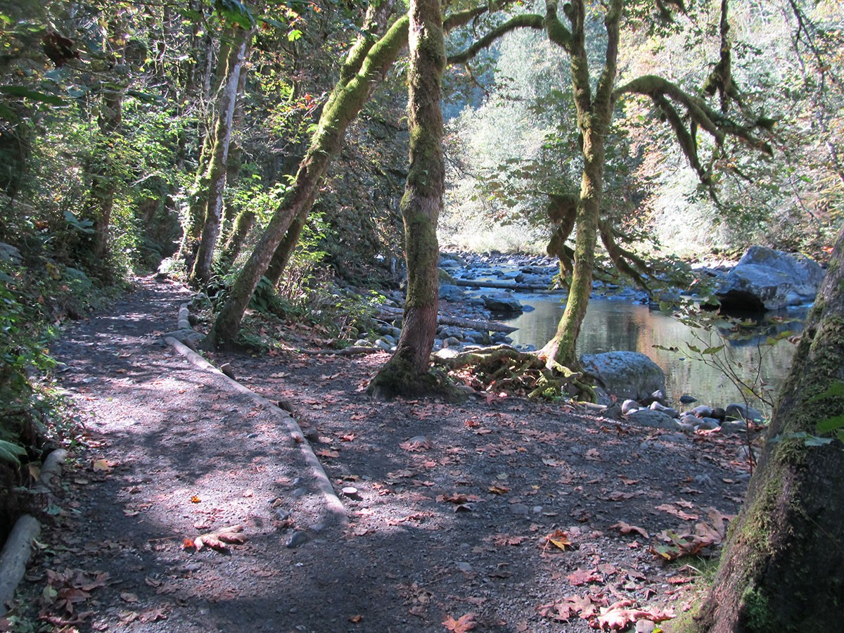 River Trail by N/A