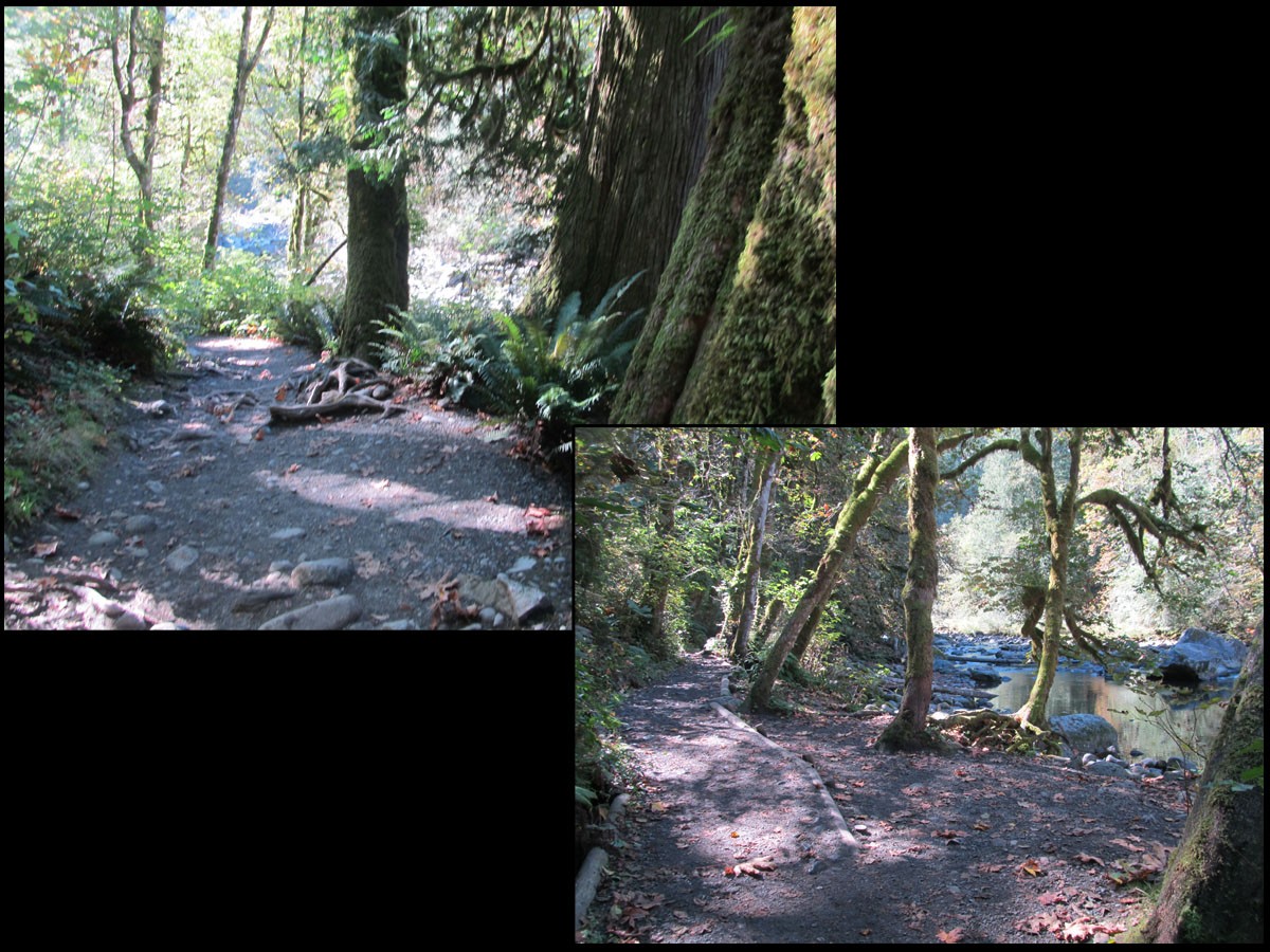 River Trail by N/A