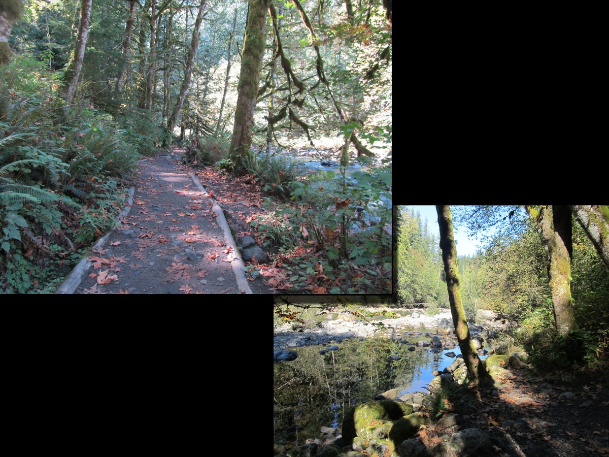 River Trail by N/A