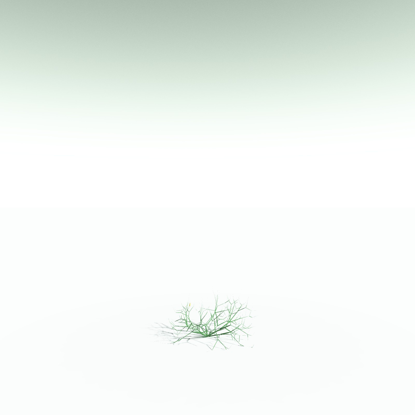 EVERYPlant Aglaophyton Majus for Poser by N/A