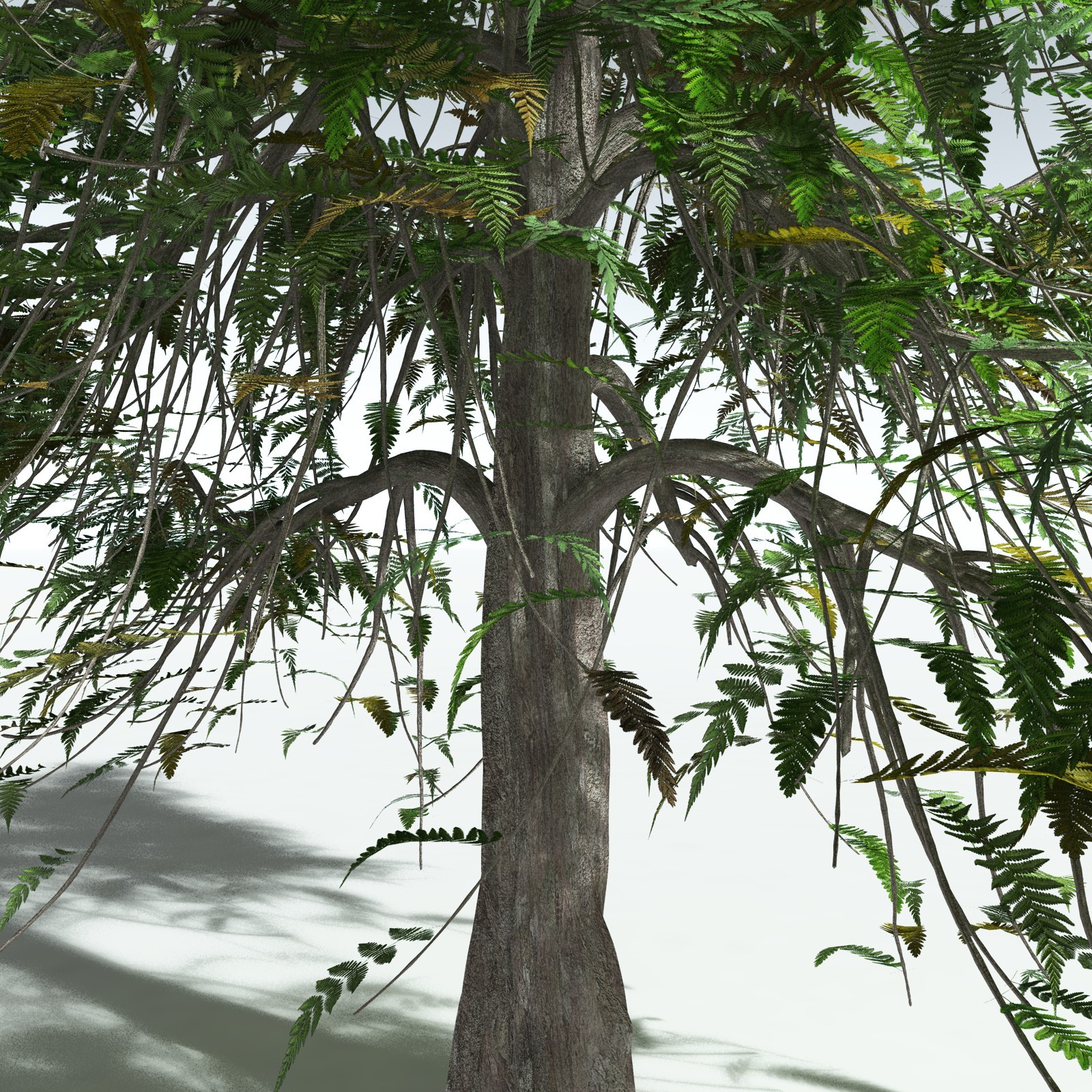 EVERYPlant Archaeopteris Macilenta for Vue by N/A