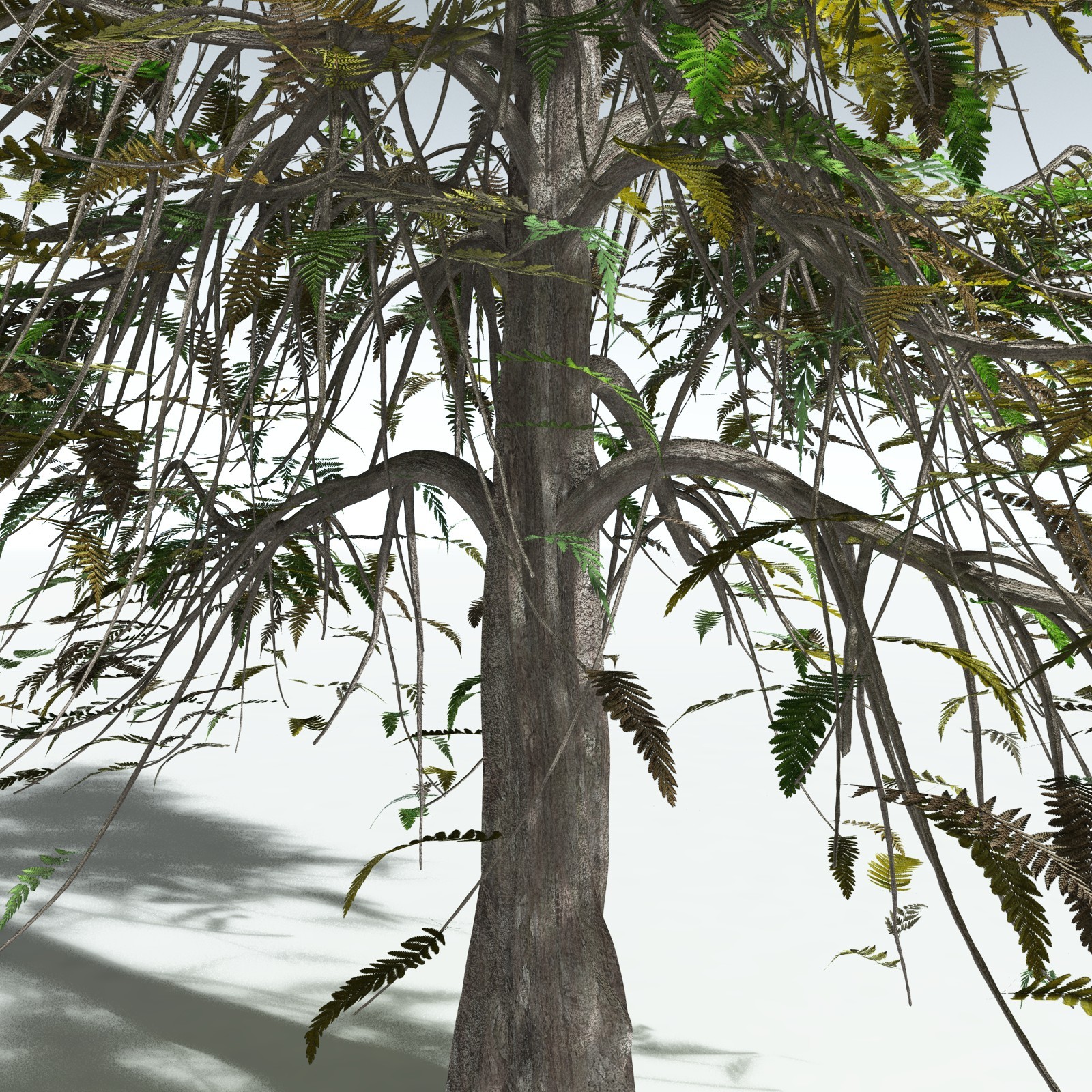 EVERYPlant Archaeopteris Macilenta for Vue by N/A