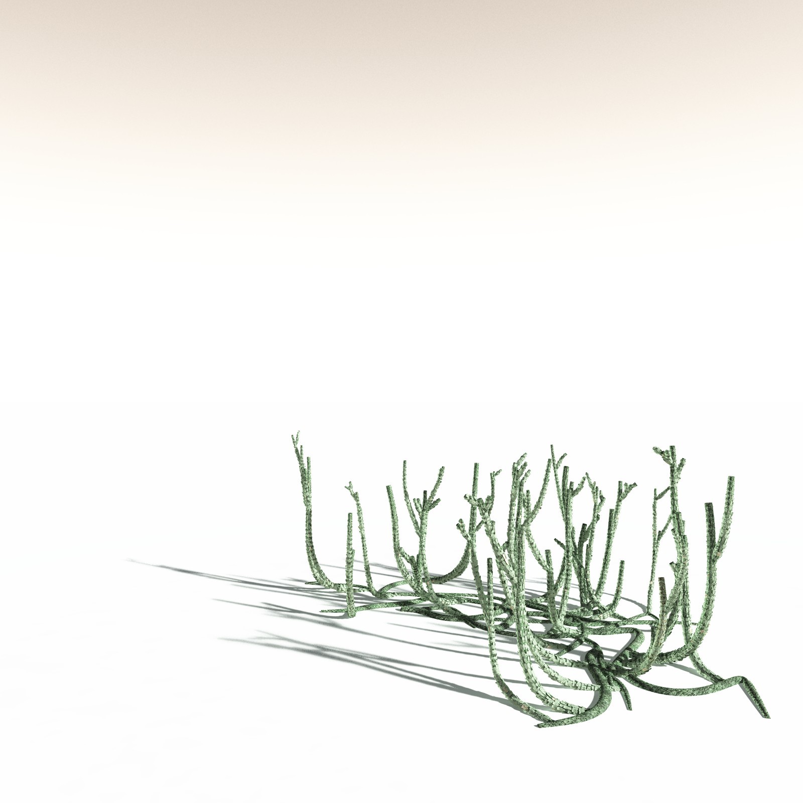 EVERYPlant Asteroxylon Mackiei for Daz by N/A