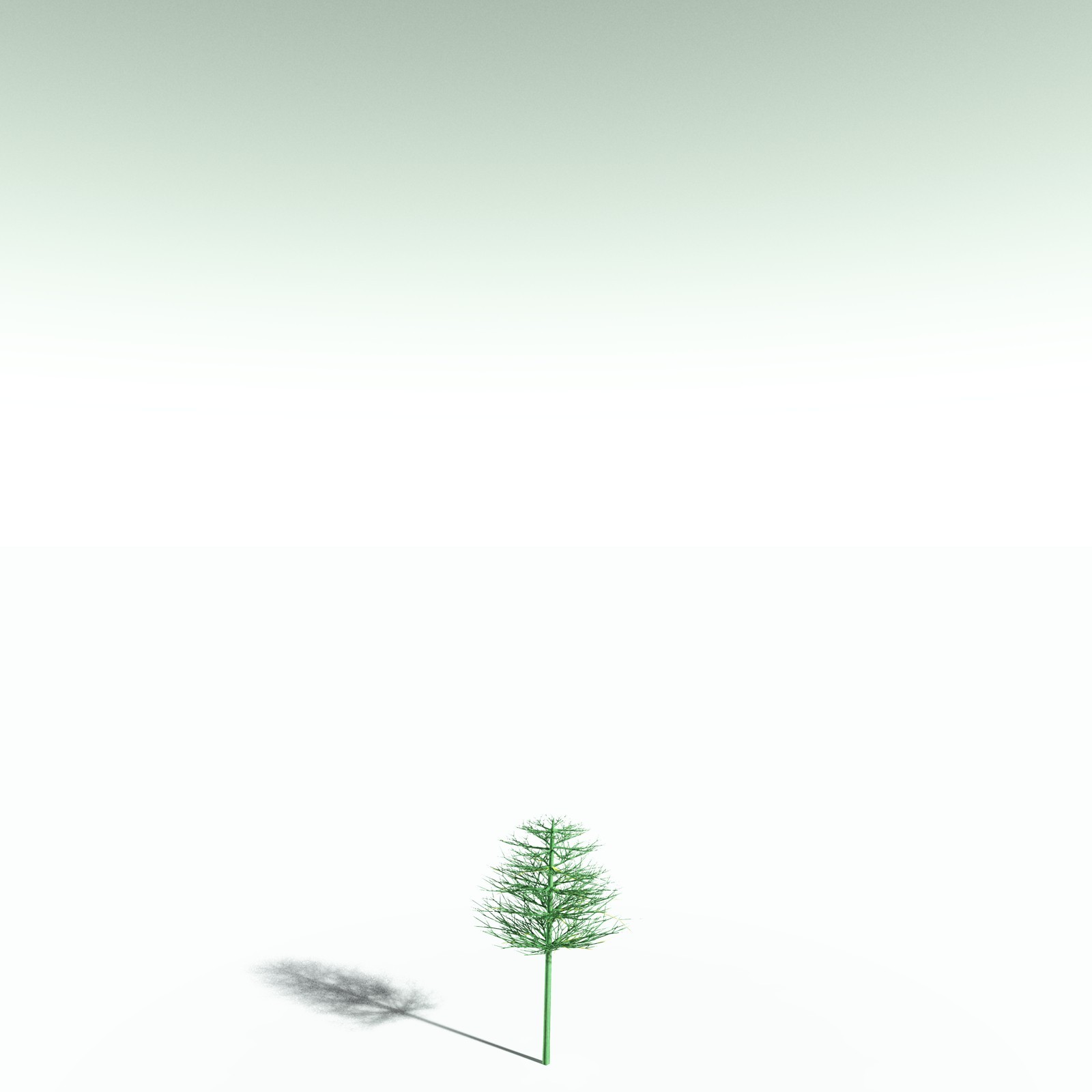 EVERYPlant Elkinsia Polymorpha for Poser by N/A