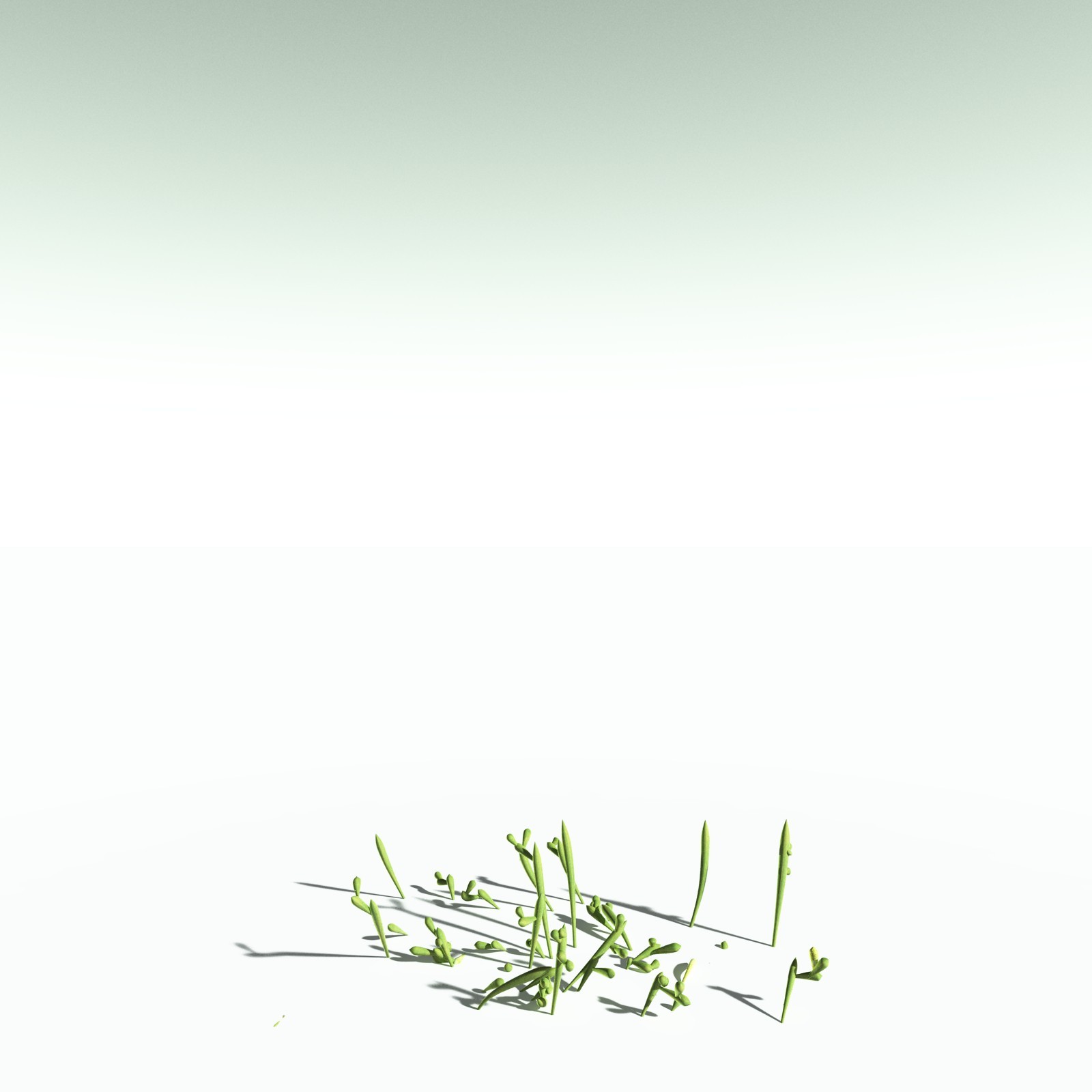 EVERYPlant Leclercqia Uncinata for Poser by N/A