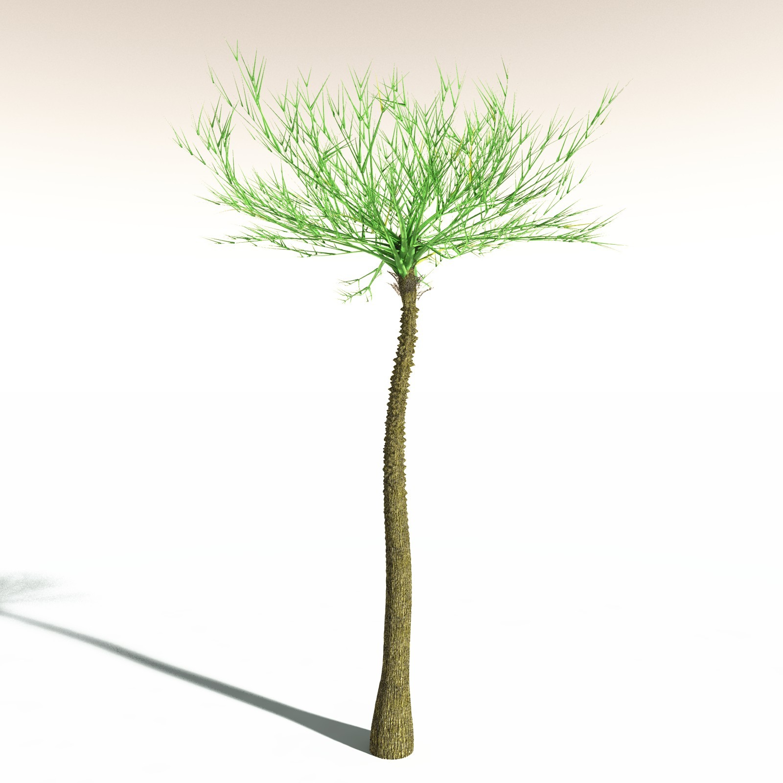 EVERYPlant Pseudosporochnus Verticillatus for Daz by N/A