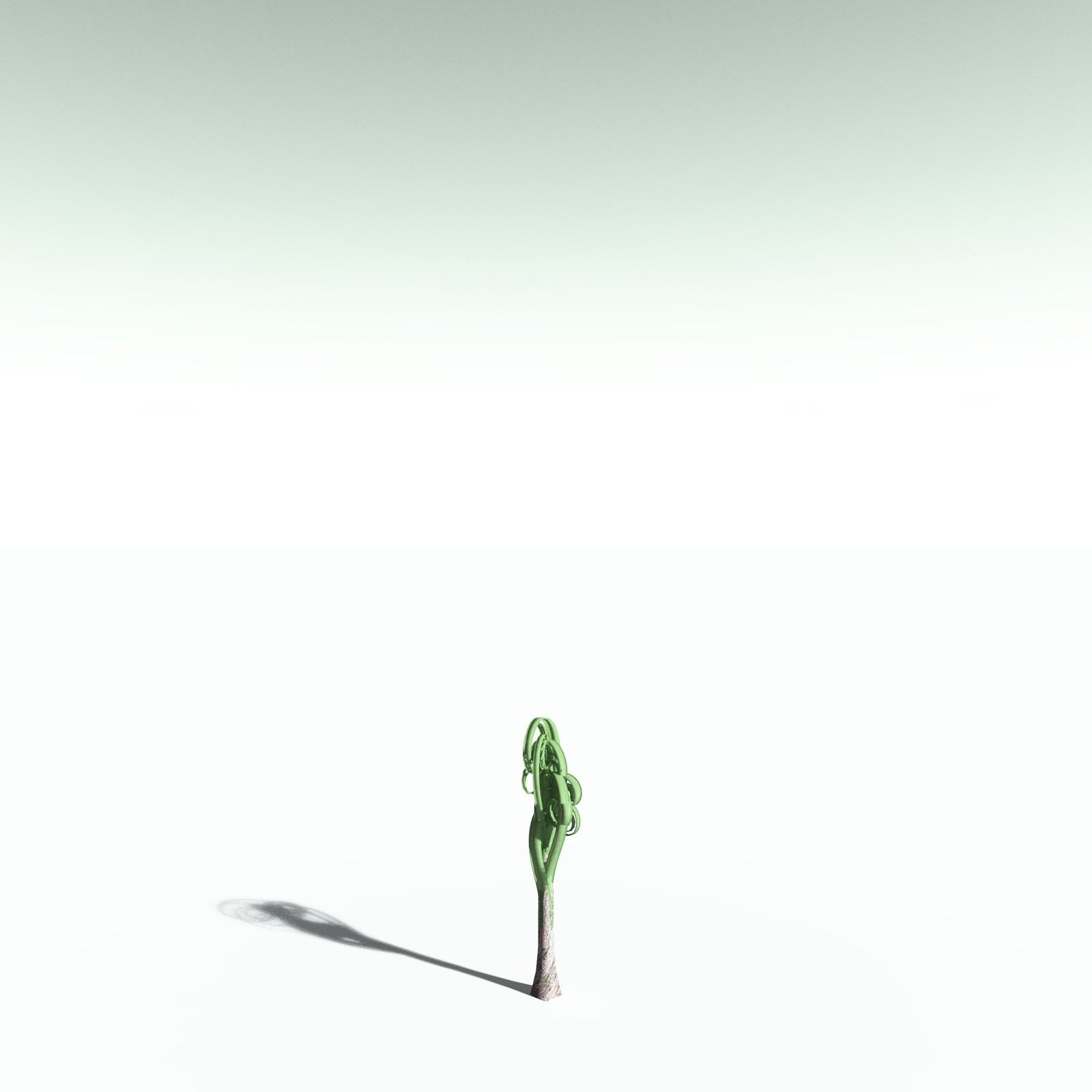 EVERYPlant Wattieza Givetiana for Poser by N/A