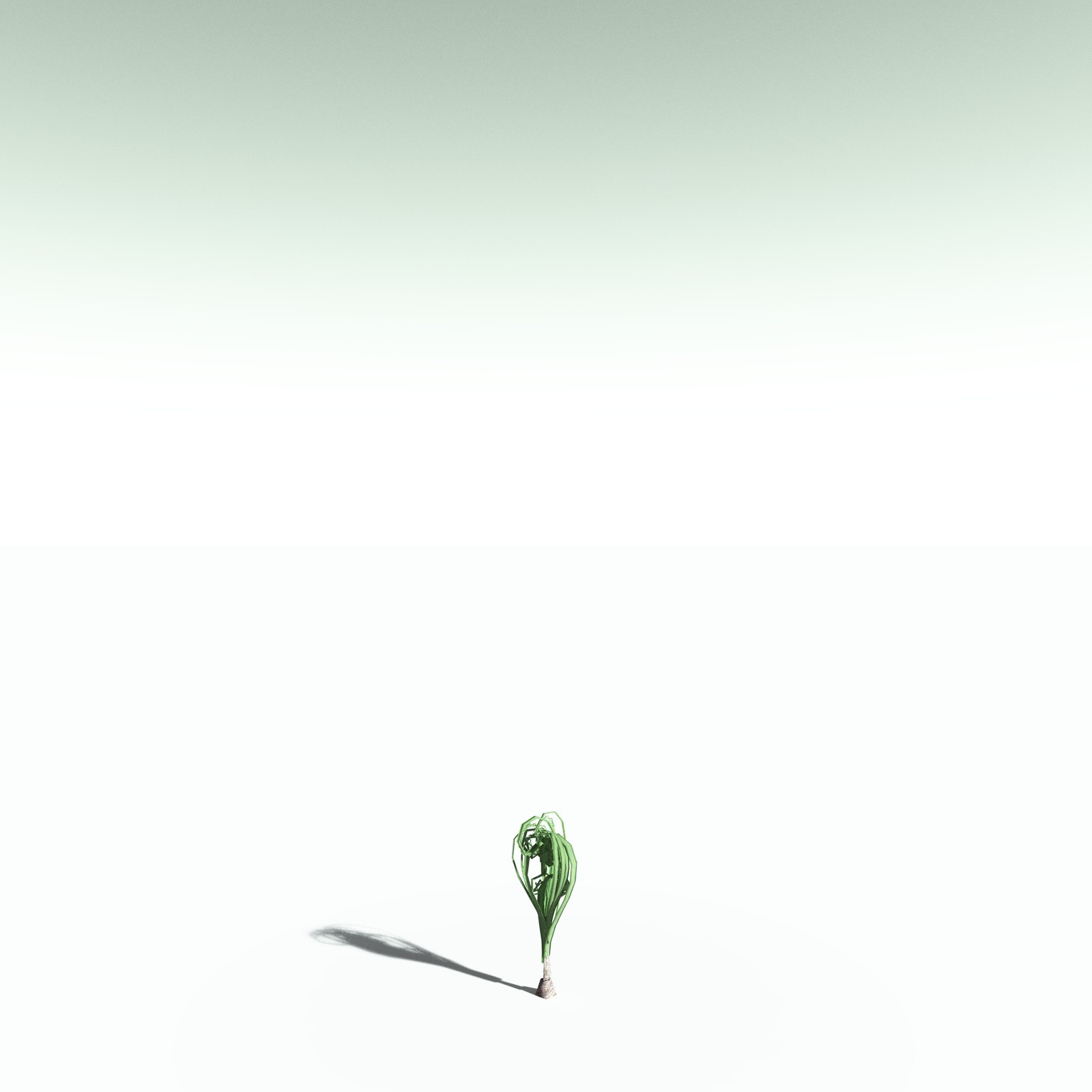 EVERYPlant Wattieza Givetiana for Poser by N/A