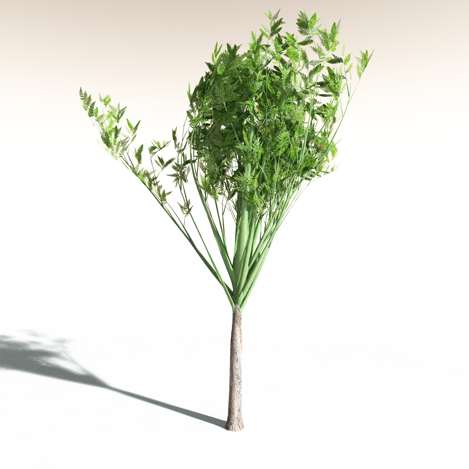 EVERYPlany Wattieza Givetiana for Daz by N/A