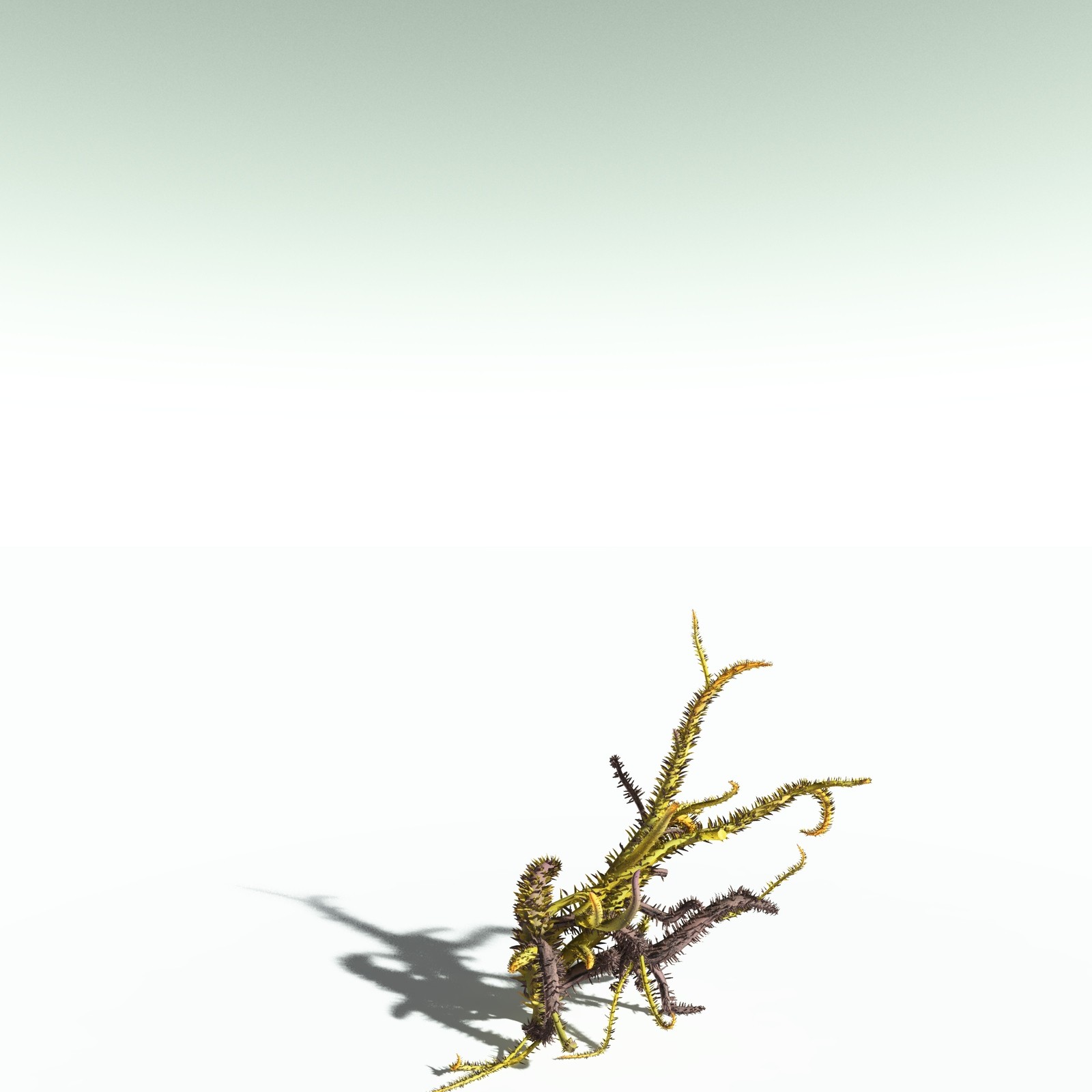 EVERYPlant Drepanophycus Spinaeformis for Poser by N/A