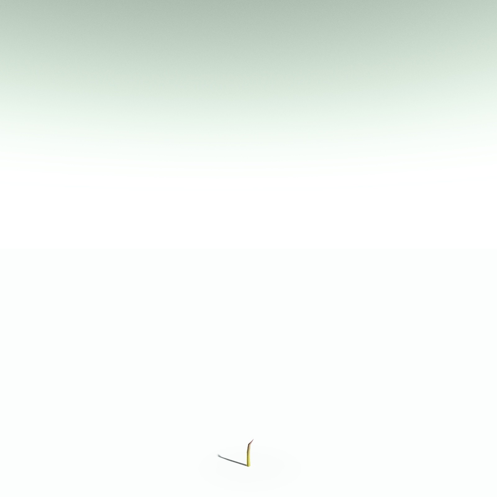 EVERYPlant Drepanophycus Spinaeformis for Poser by N/A