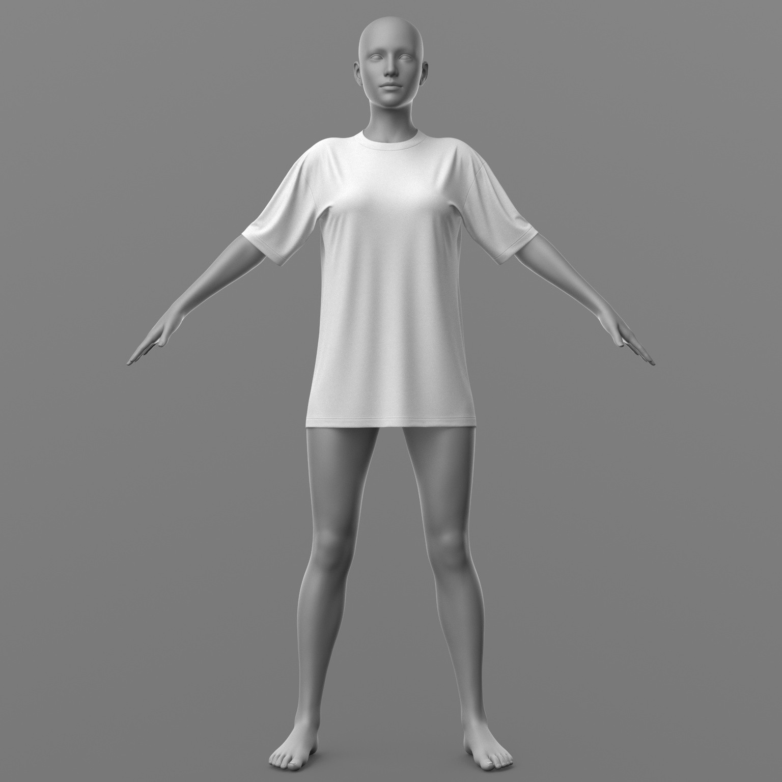 Shirt Long and Stockings G8 Female by N/A
