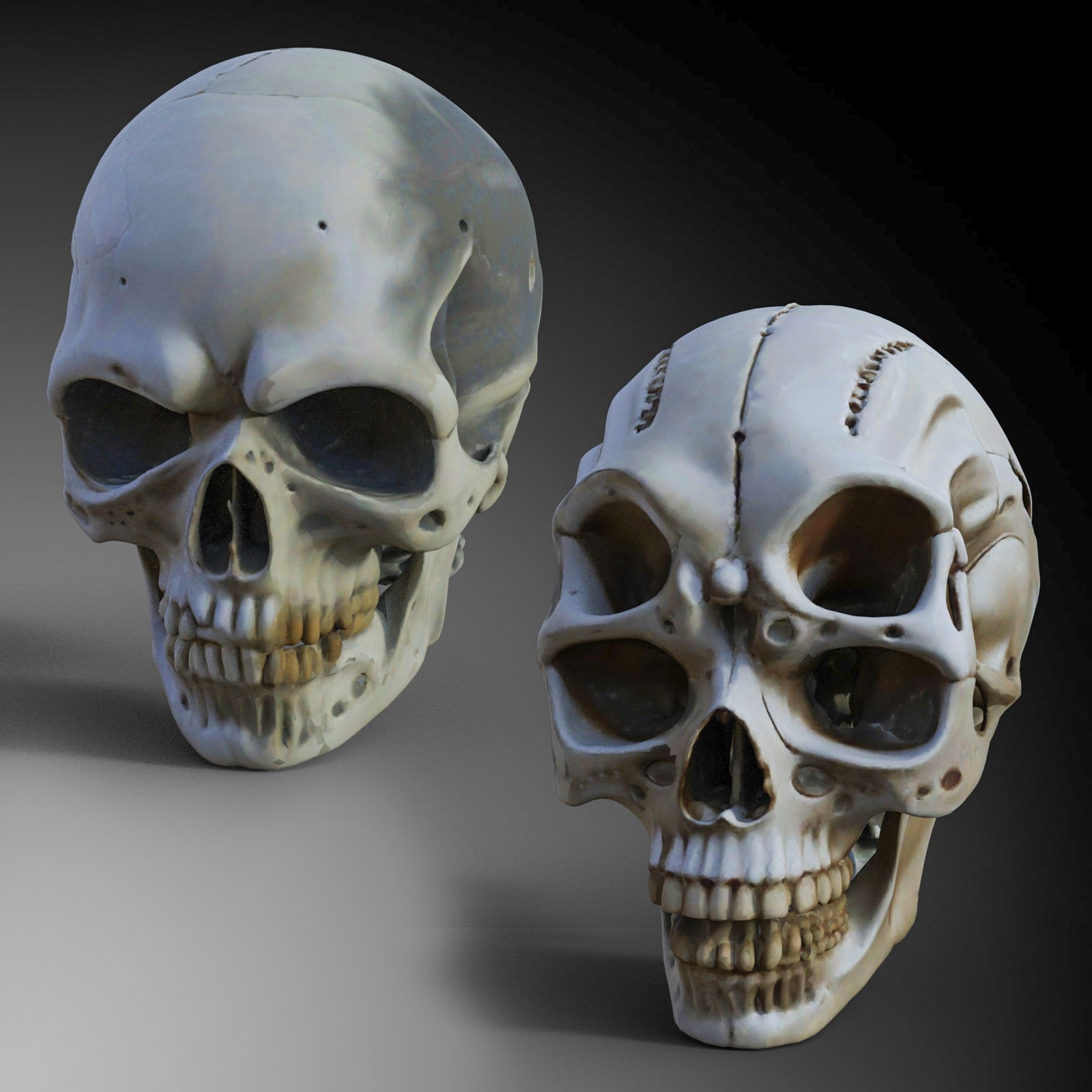 Alien Skulls by N/A