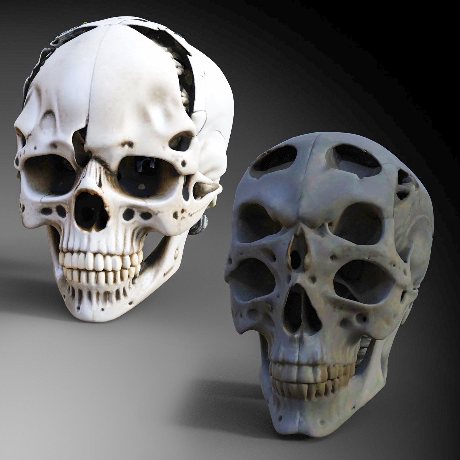 Alien Skulls by N/A