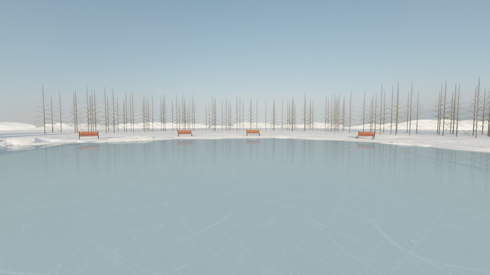 Ice Skating Rink by N/A