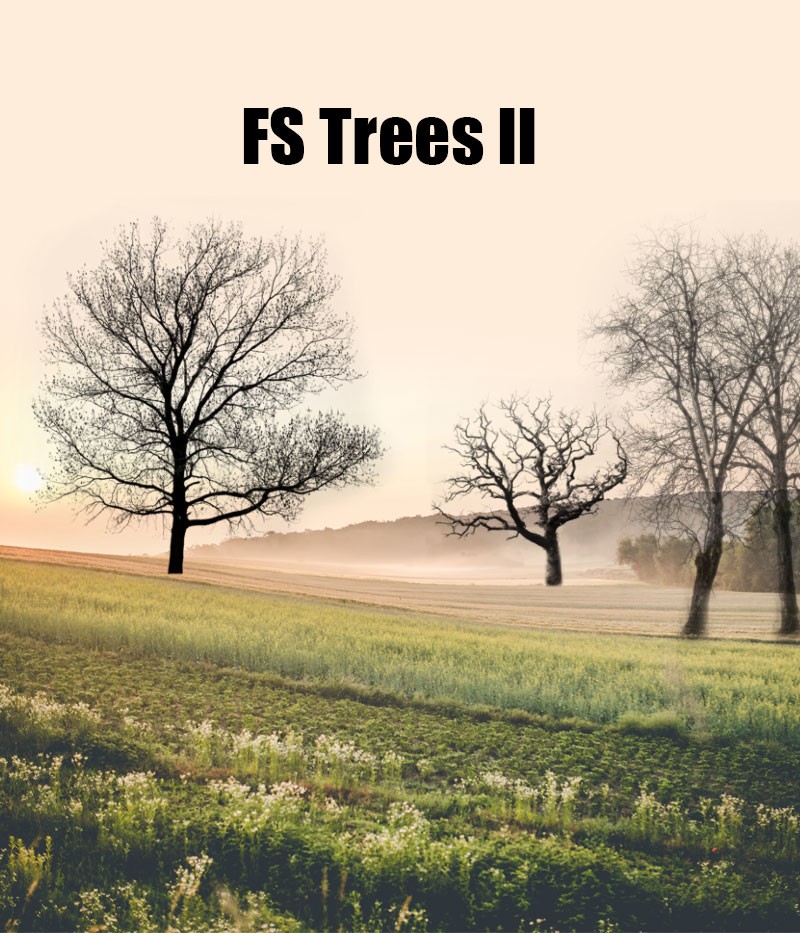 FS Trees II by N/A