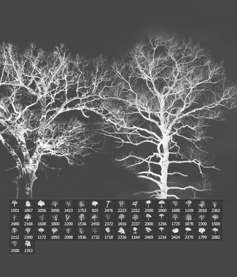 FS Trees II by N/A