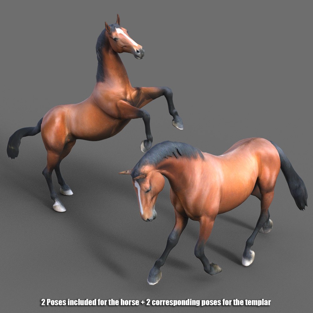 Templar Horse for Daz Studio by N/A