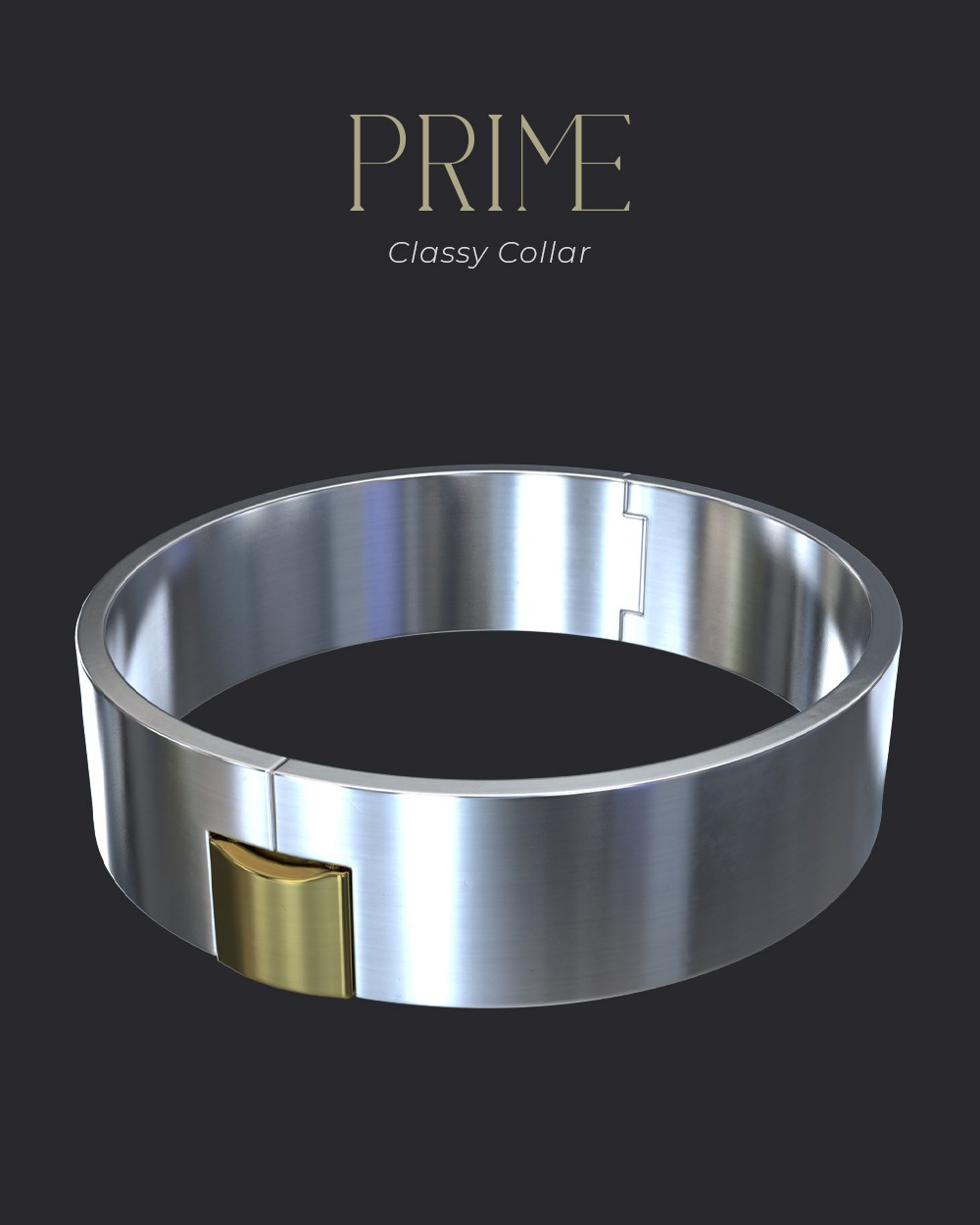 Classy Collar for Daz by N/A